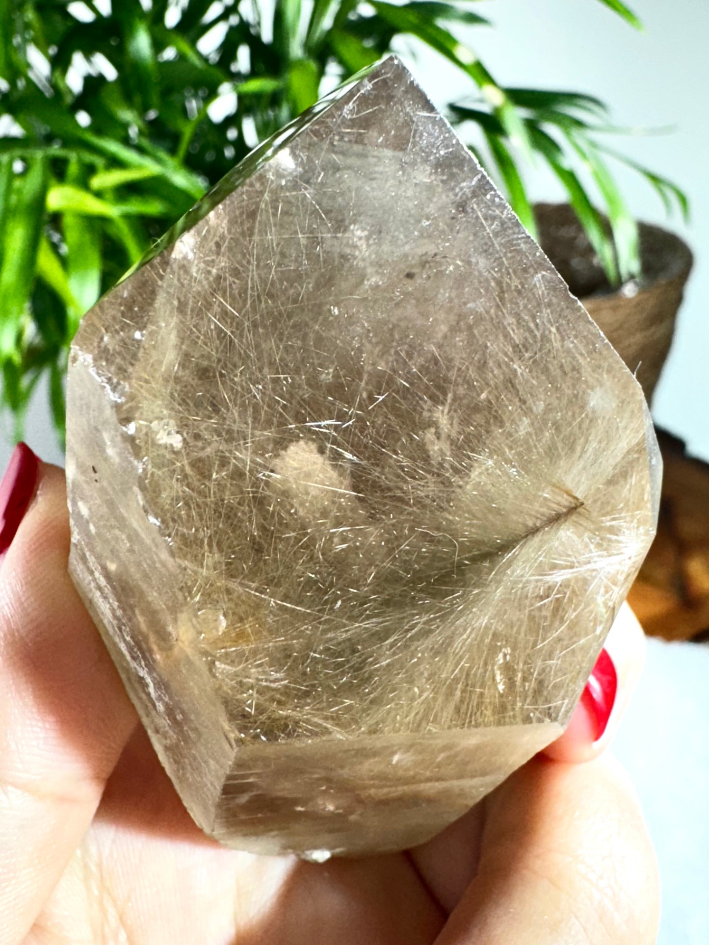 Natural Golden Rutile Point | 185g