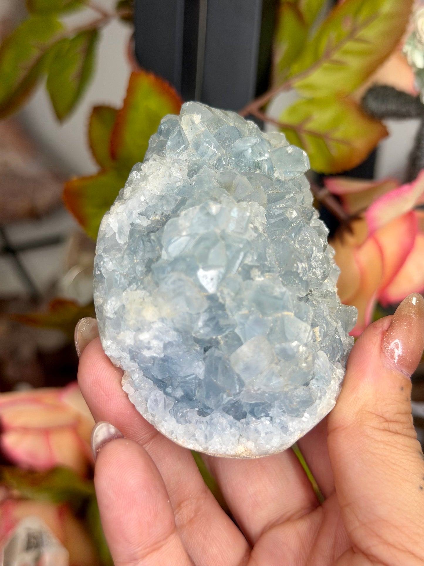 Celestite Cluster | 305g