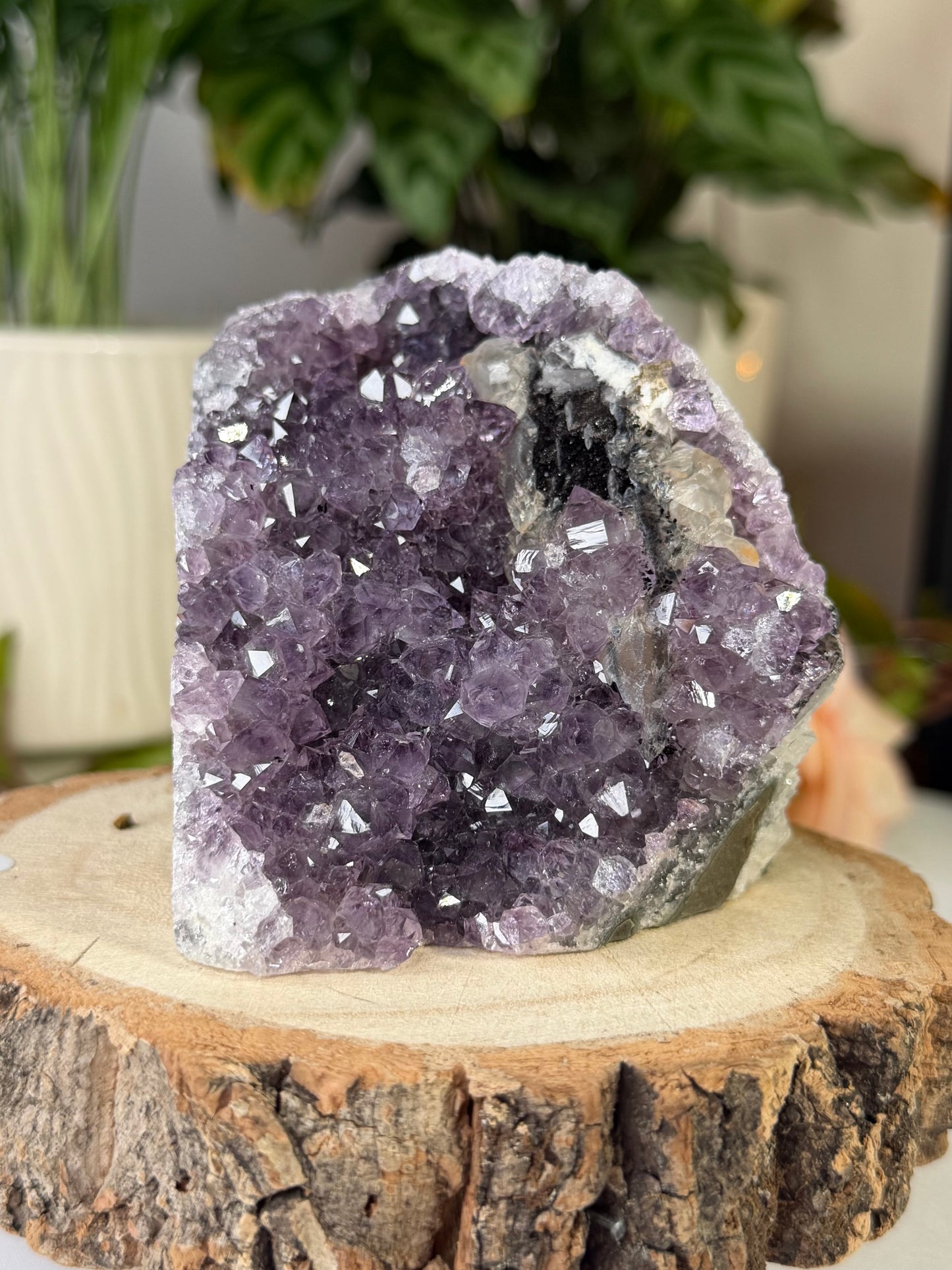 Amethyst Cut Base From Uruguay 4 | 372g