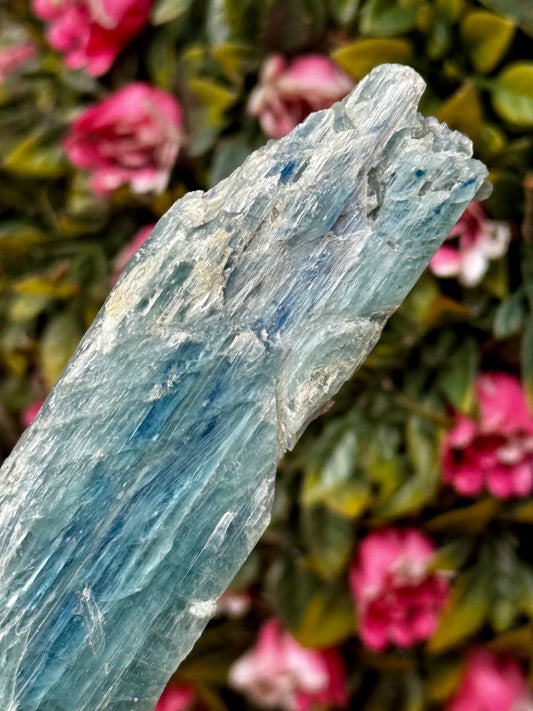 Blue Green Kyanite from Zambia | 56g