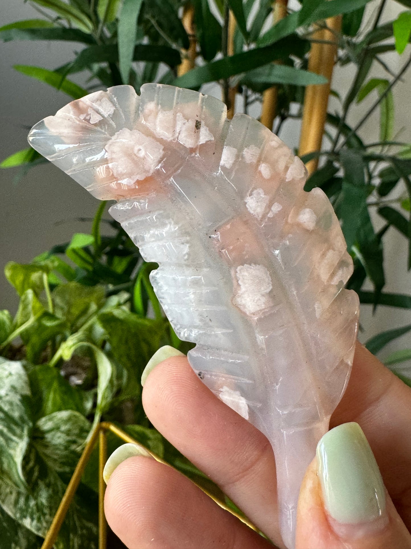 Flower Agate Feather |  37g