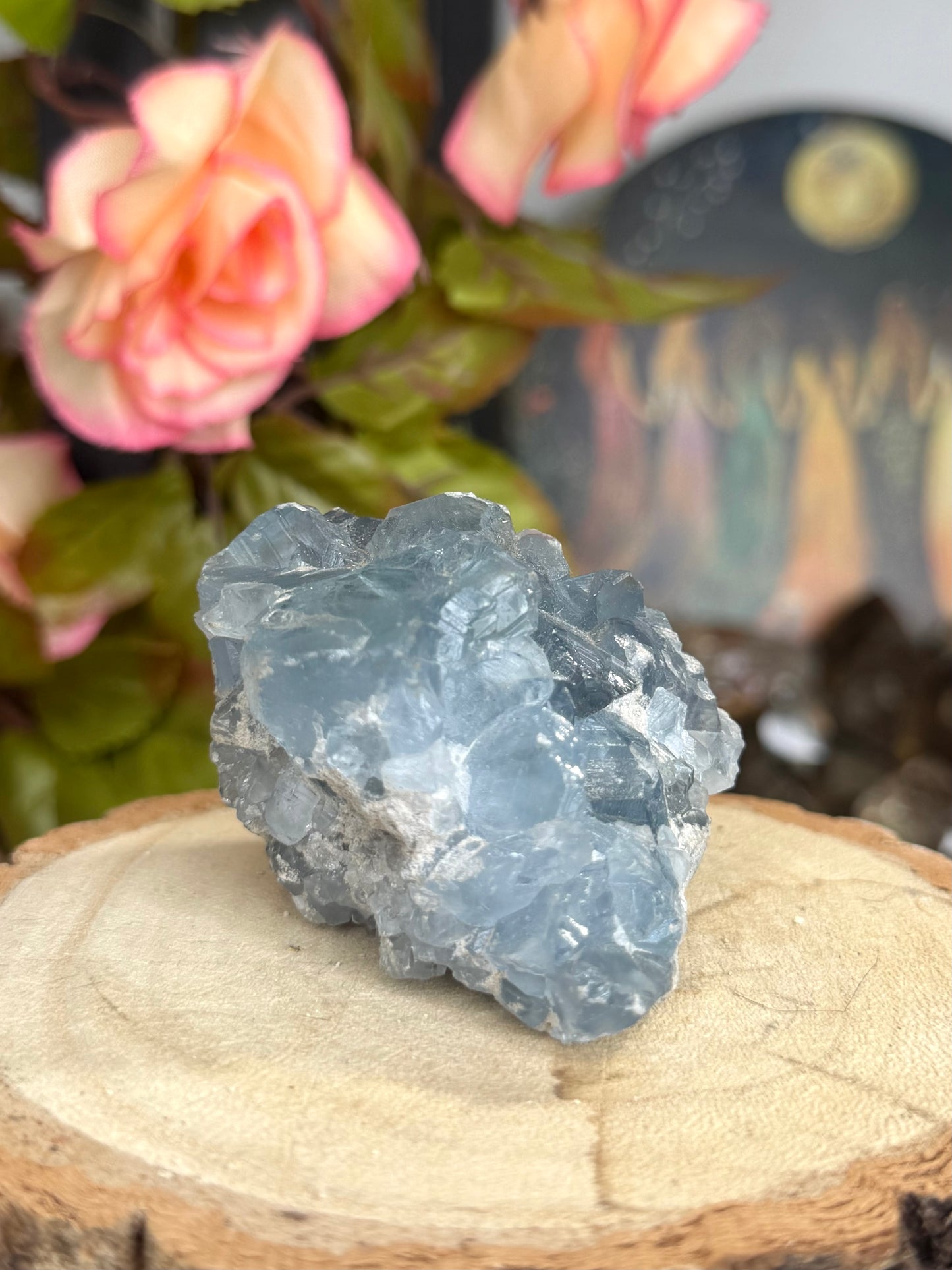 Celestite Cluster | 189g