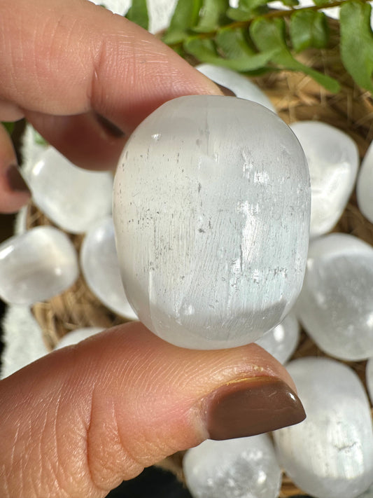 High Quality Selenite Tumbles | Medium / Large Sizes - Intuitively Chosen