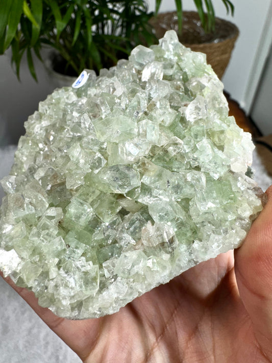 Green Apophyllite Cluster | 398g