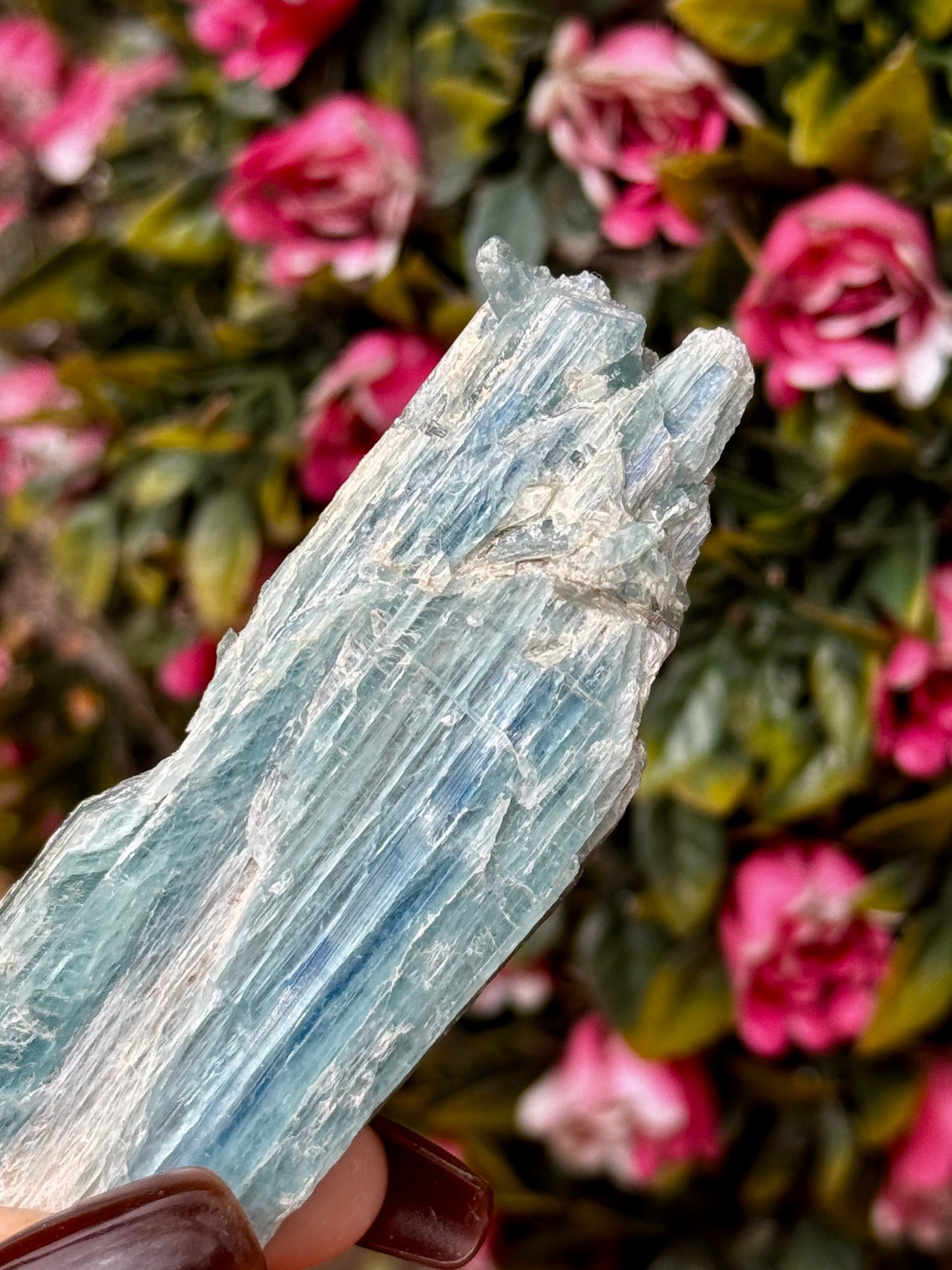 Blue Green Kyanite from Zambia | 56g