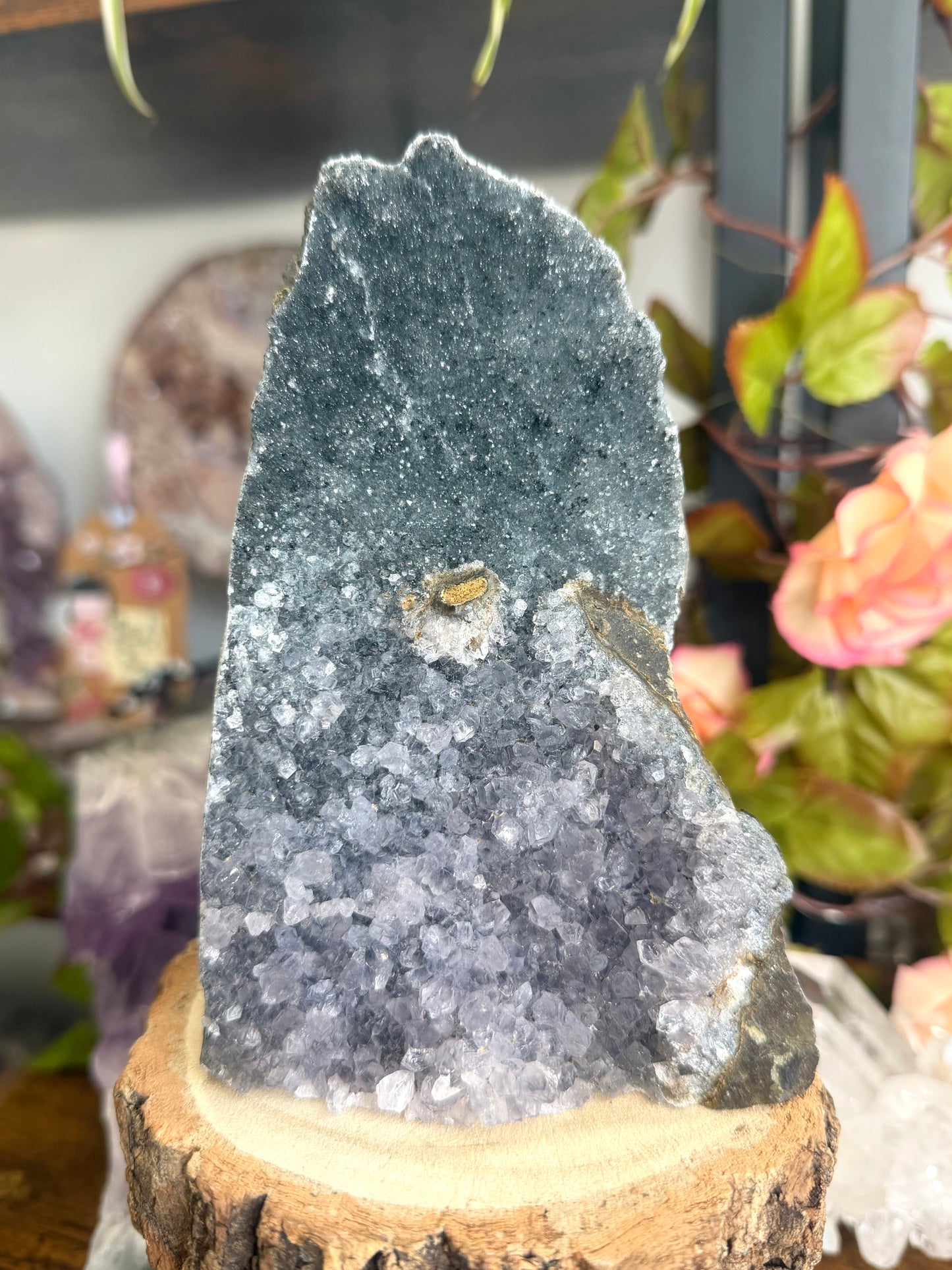 Amethyst Cut Base From Uruguay | 992g