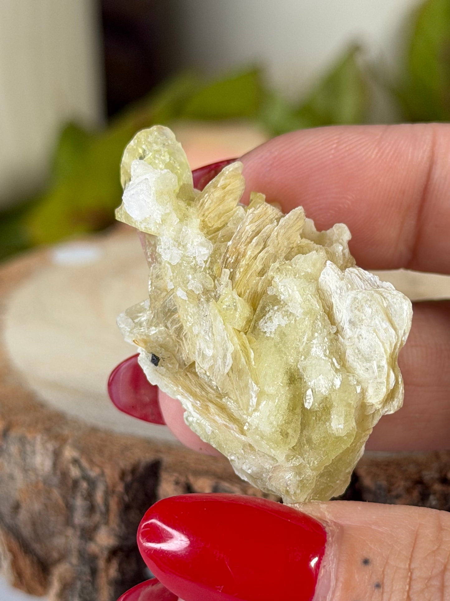 Collectors Item - Mini Brazilianite | 18g