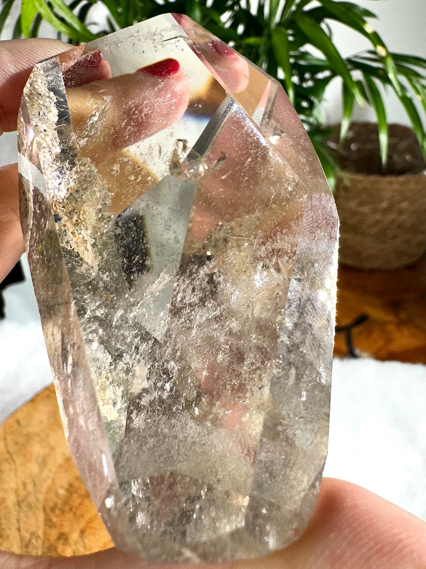 Shaman (Garden) Smokey Quartz Free Form | 174g