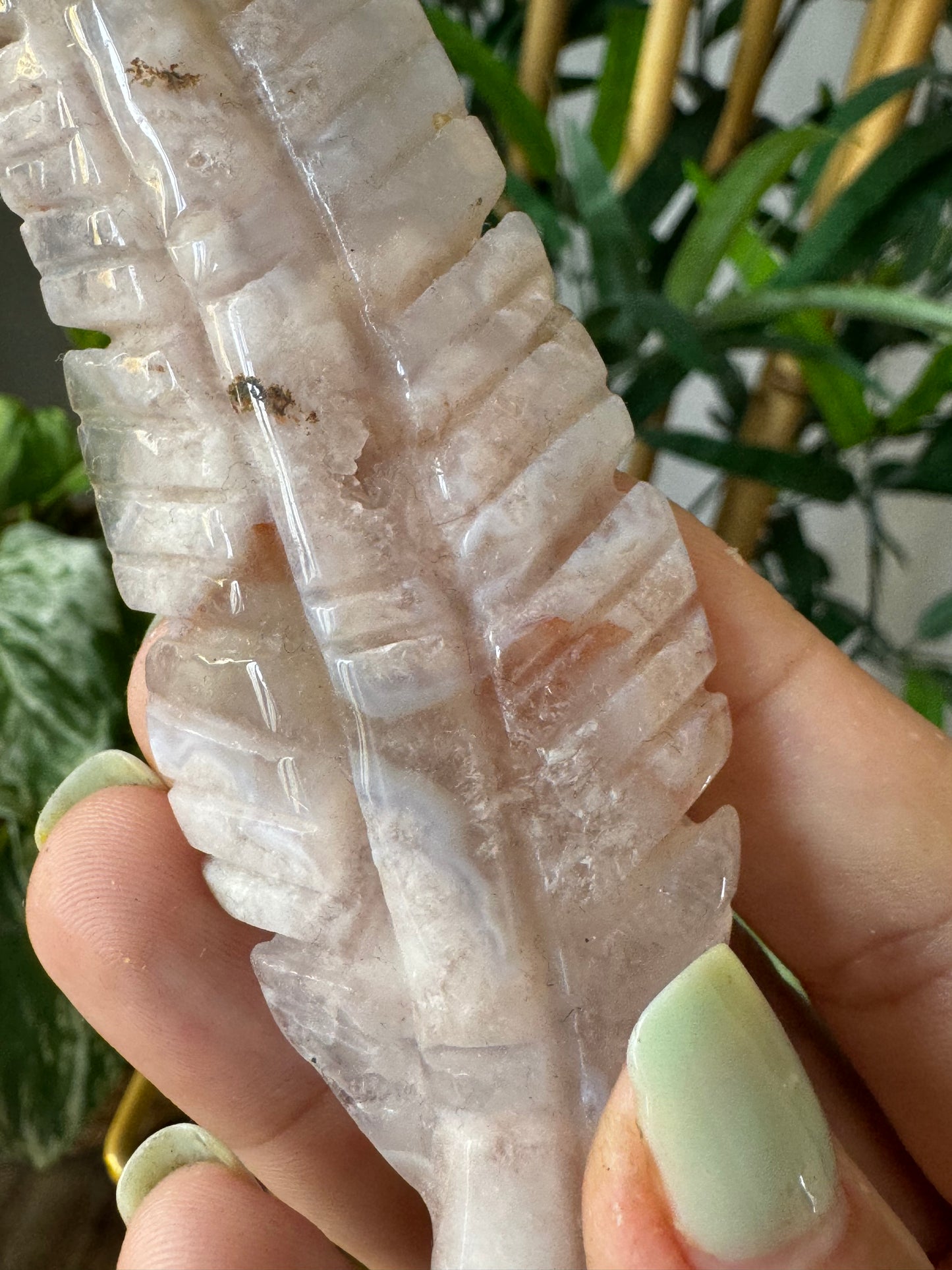 Flower Agate Feather | 54g