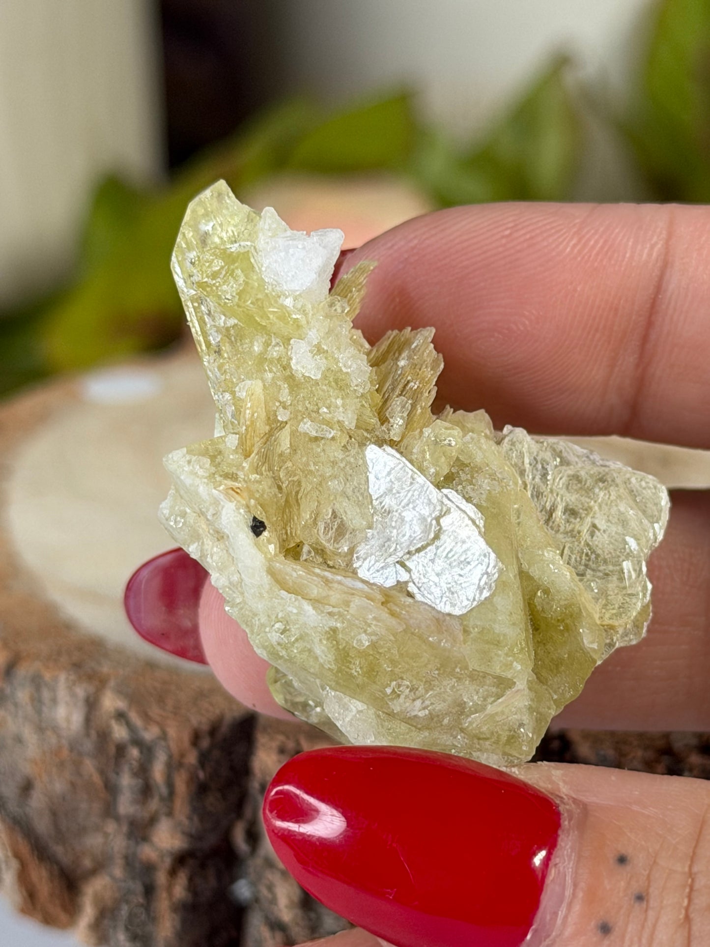 Collectors Item - Mini Brazilianite | 18g