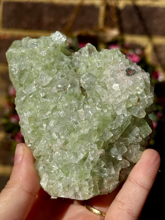 Green Apophyllite Cluster | 290g