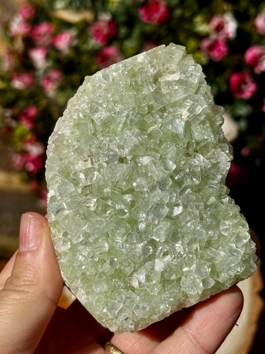 Green Apophyllite Cluster | 180g