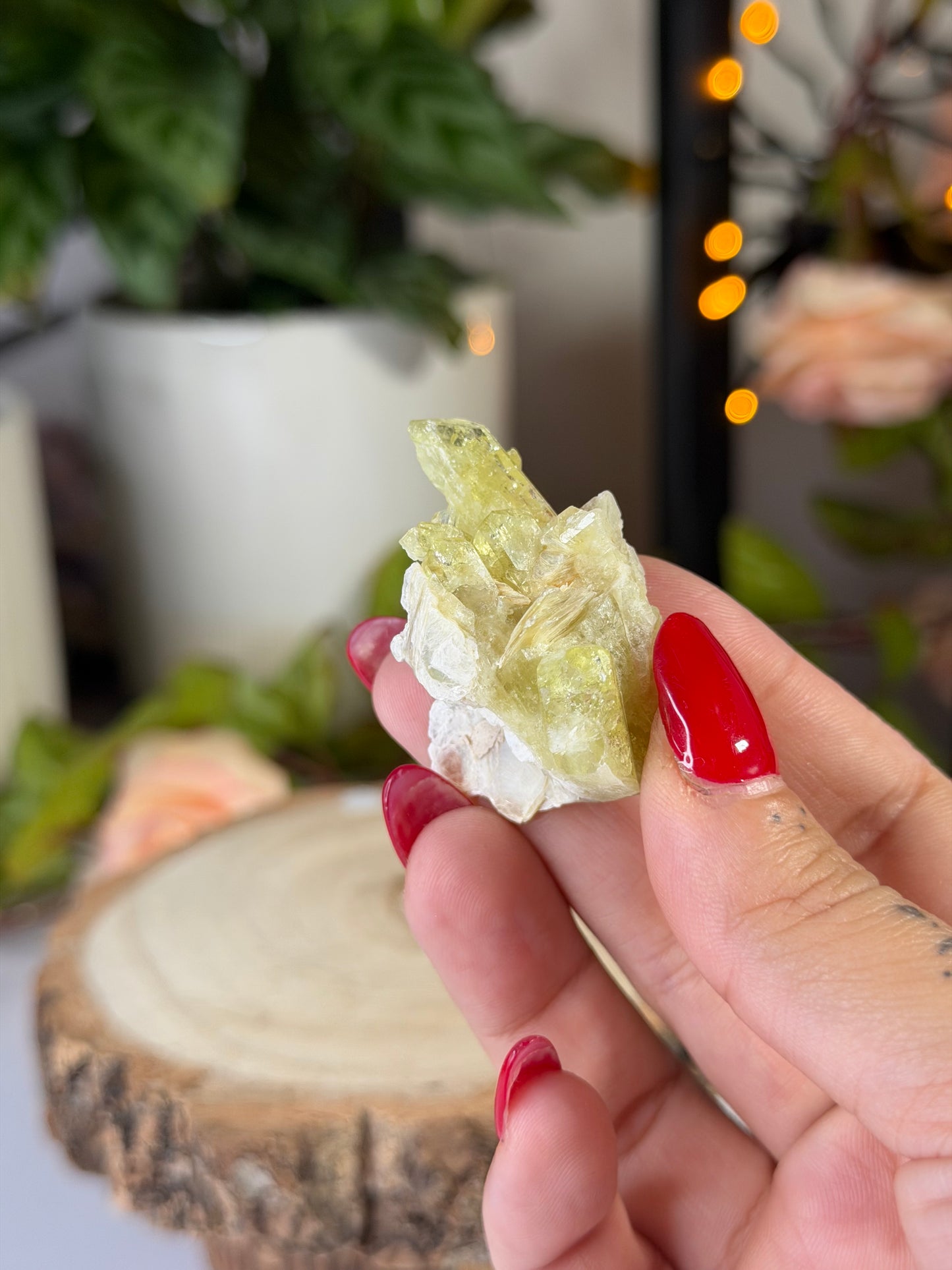 Collectors Item - Mini Brazilianite | 18g