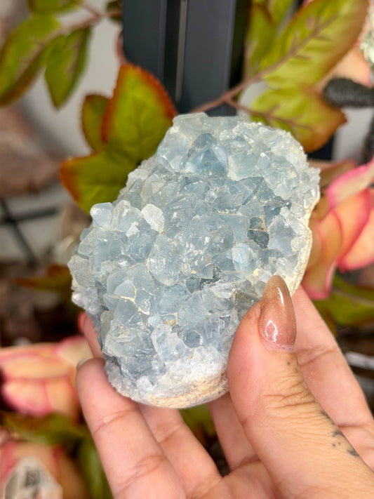 Celestite Cluster | 305g