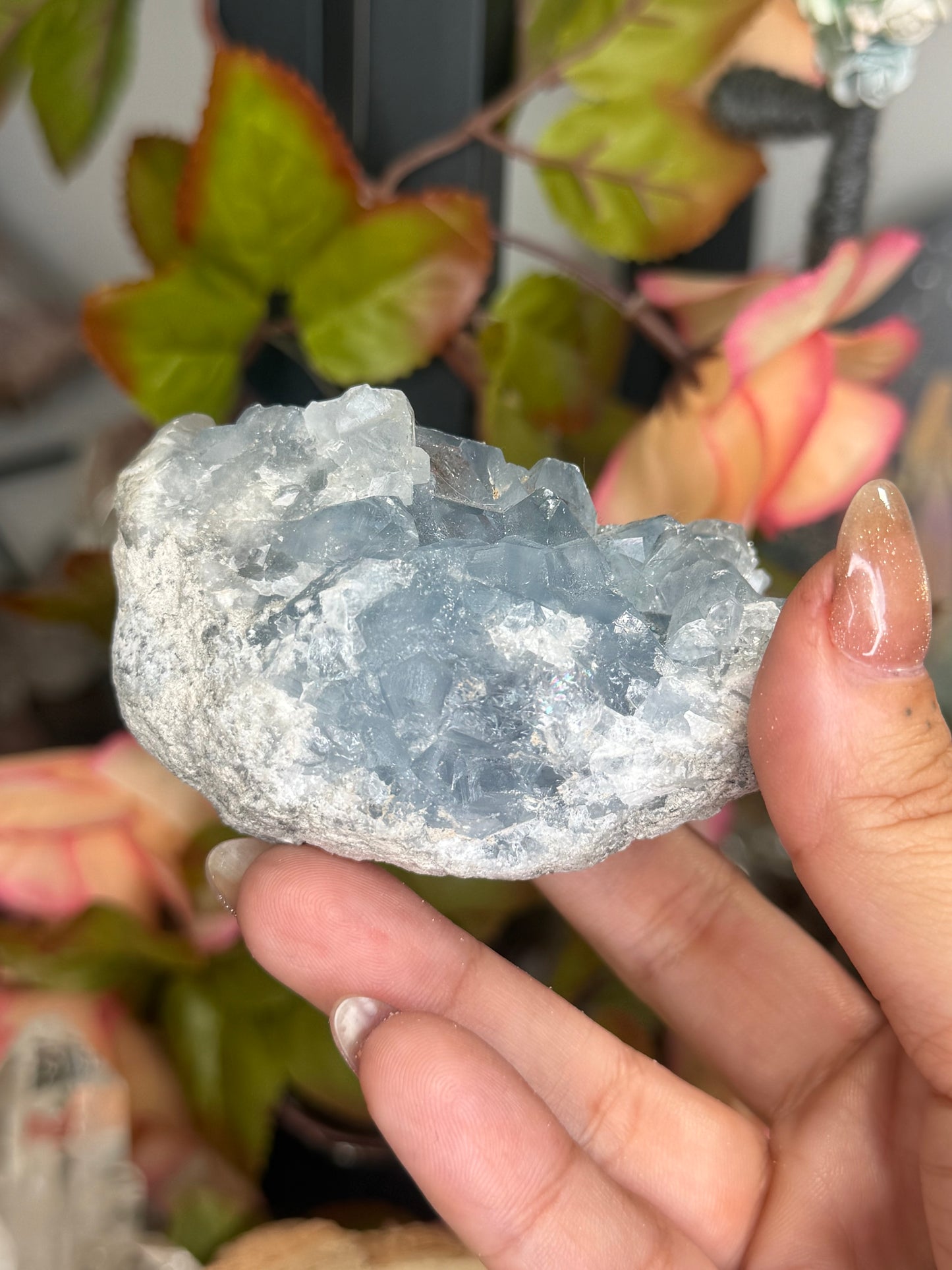 Celestite Cluster | 228g