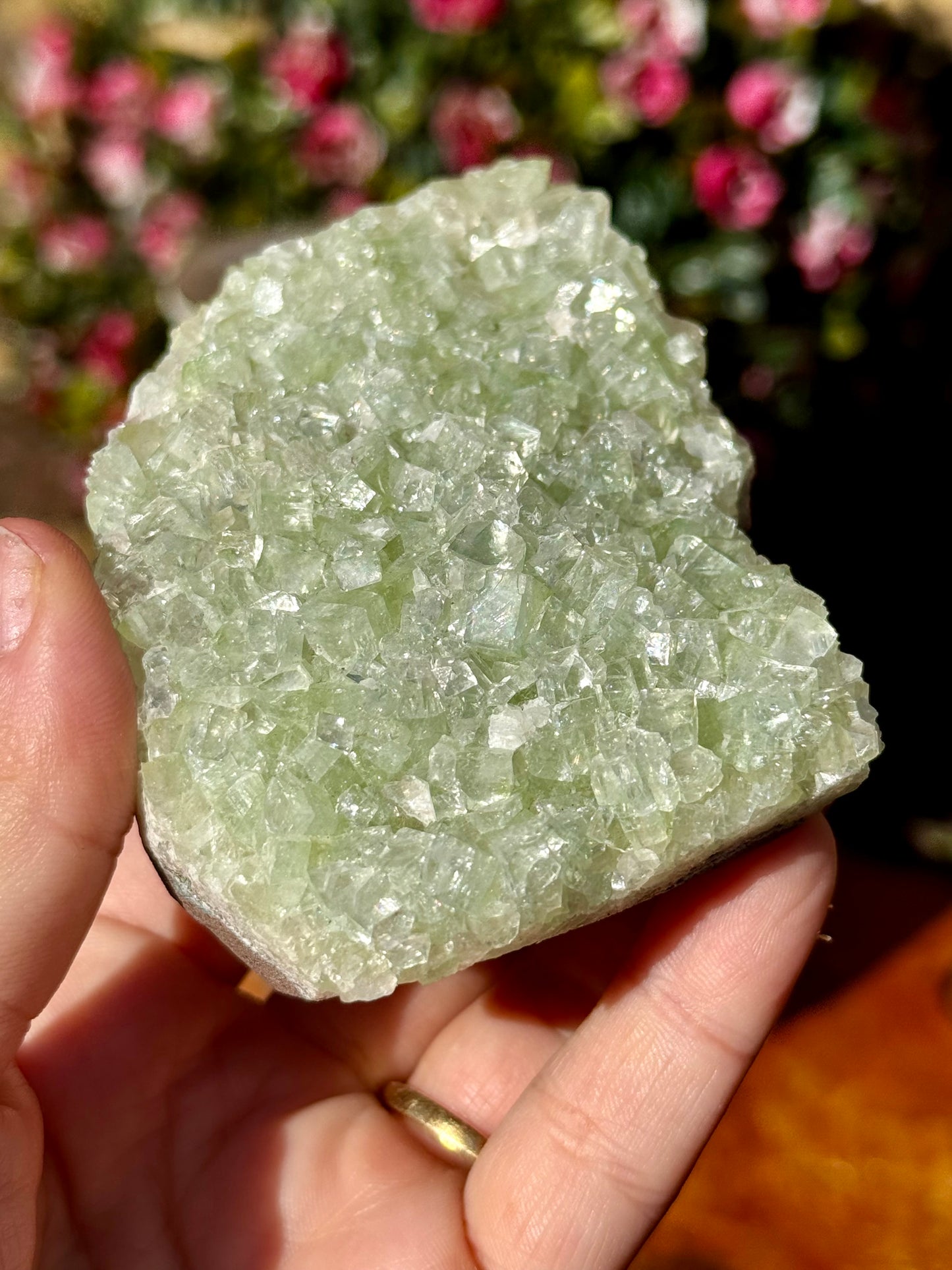 Green Apophyllite Cluster | 180g