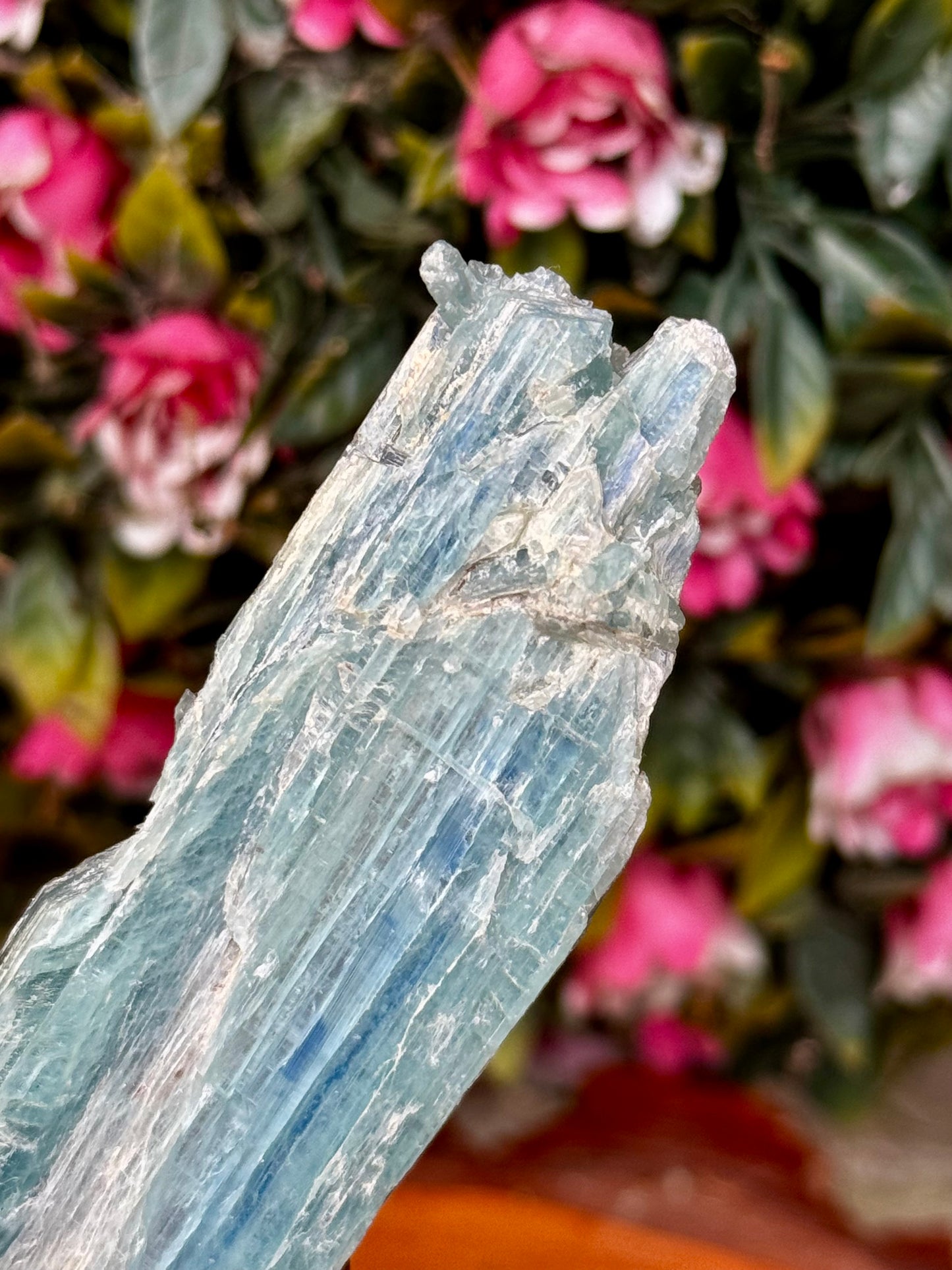 Blue Green Kyanite from Zambia | 56g