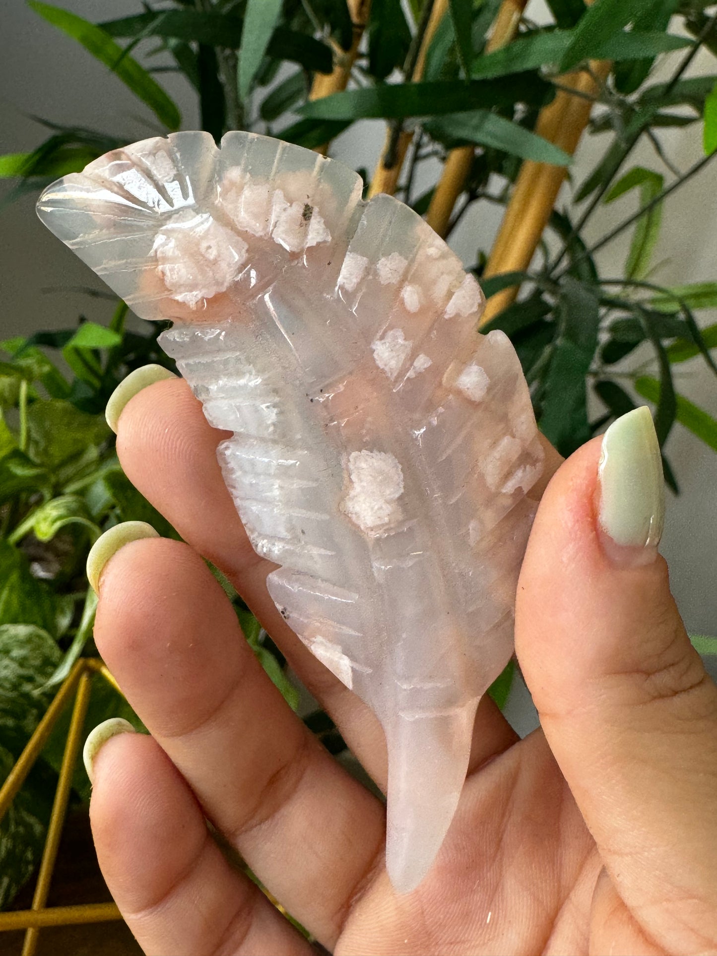 Flower Agate Feather |  37g