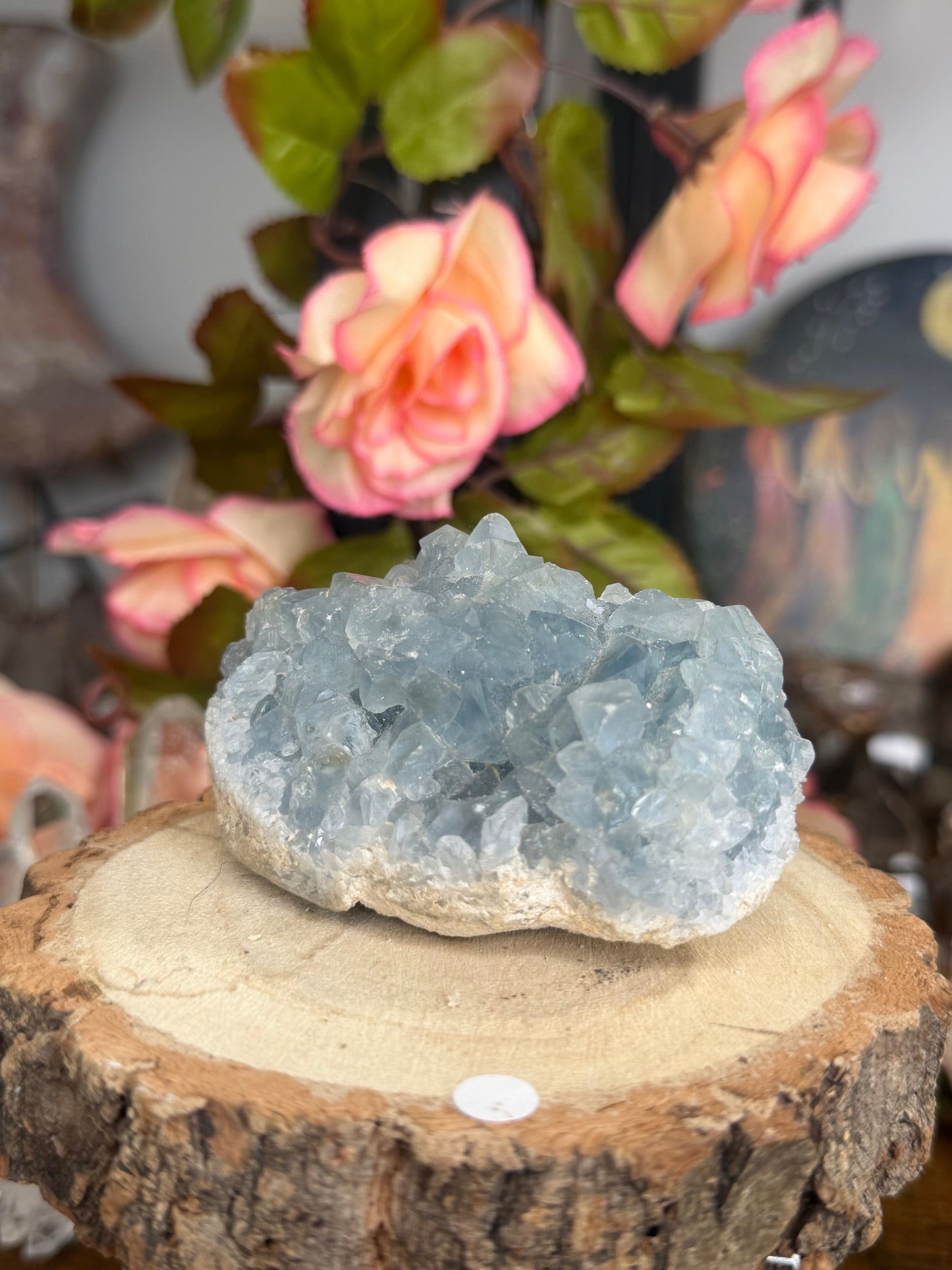 Celestite Cluster | 305g