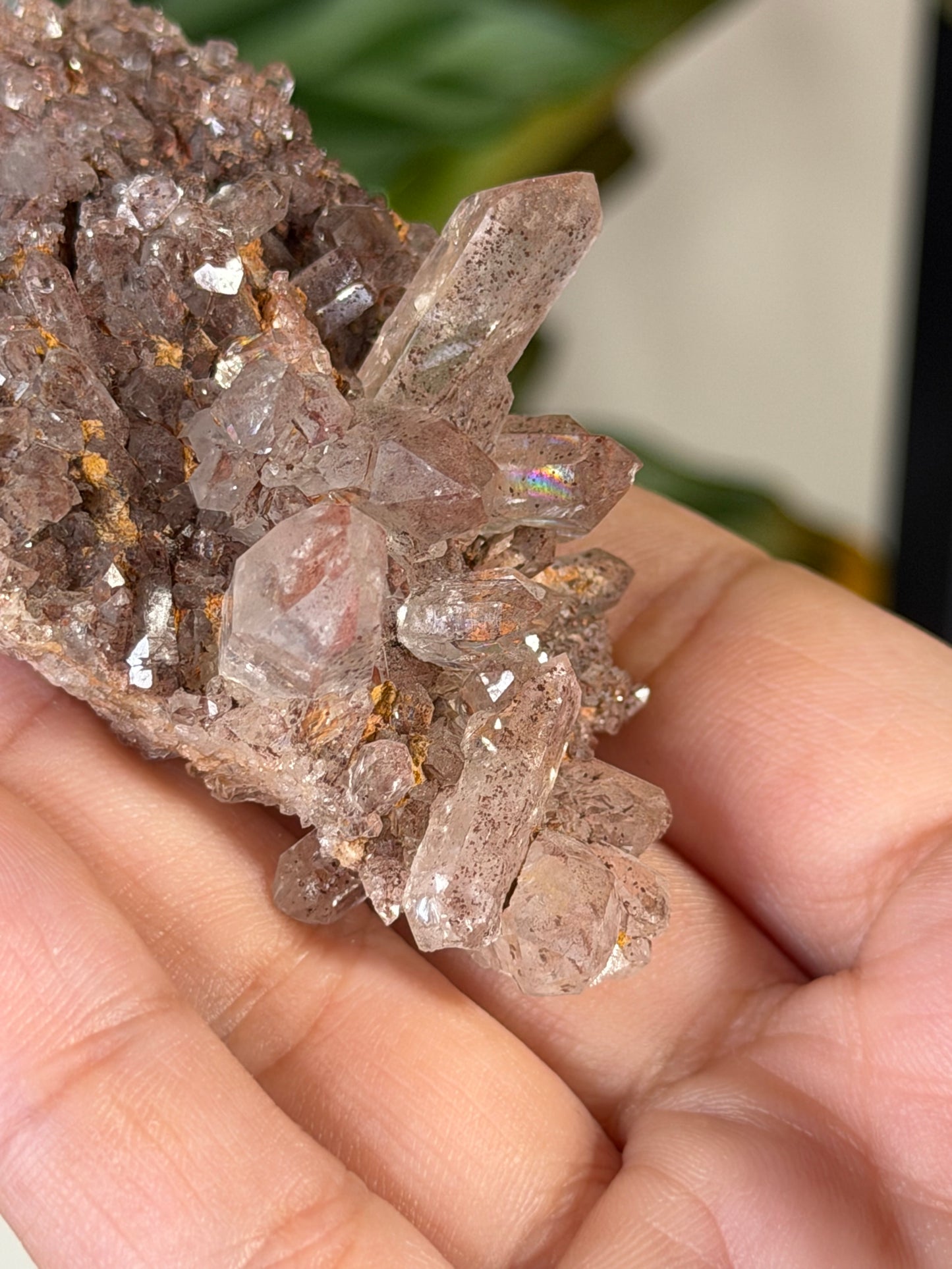 Mini 'Pink Lithium' Cluster 3 | 42g