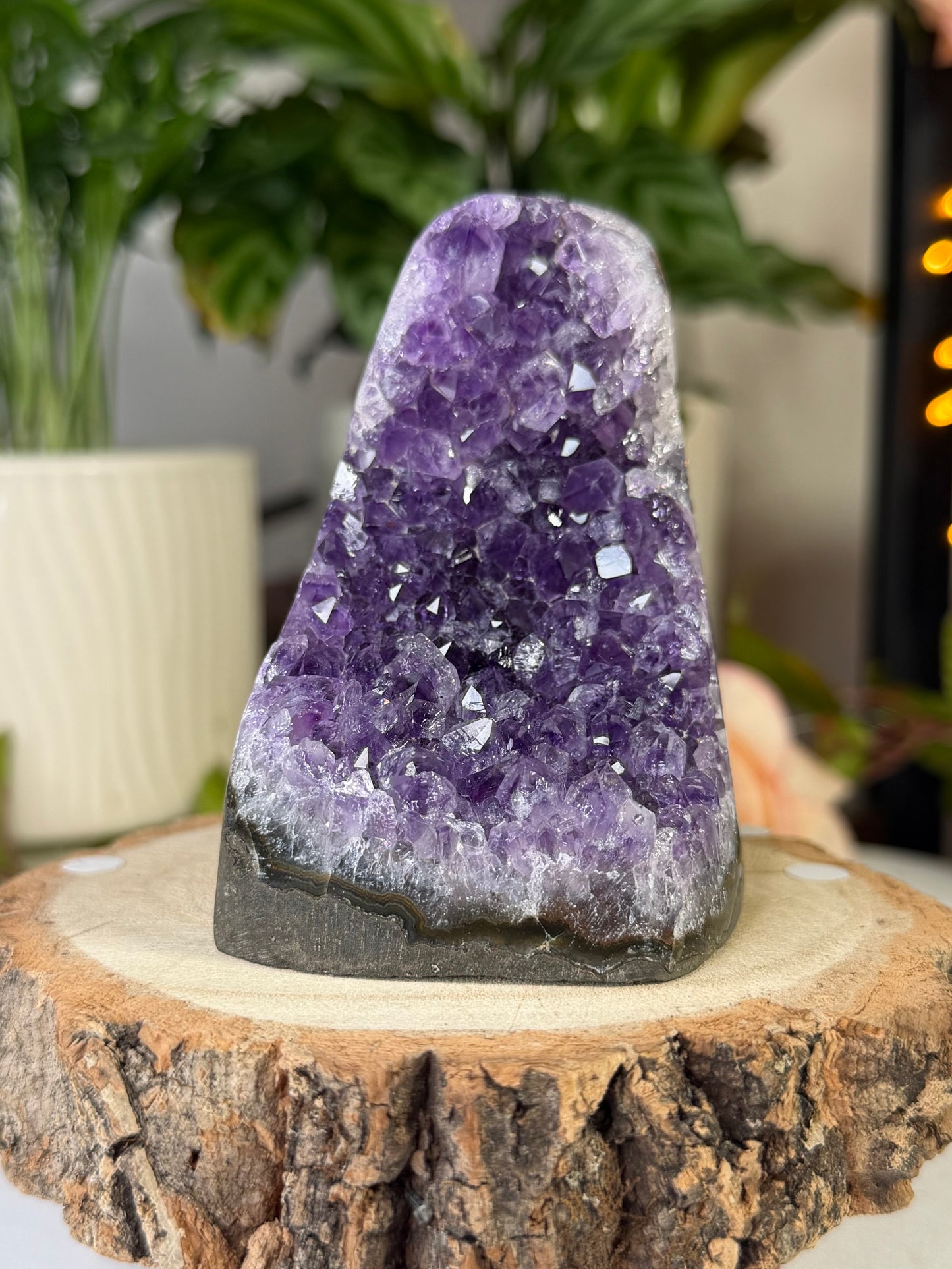 Amethyst Cut Base From Uruguay 3 | 343g