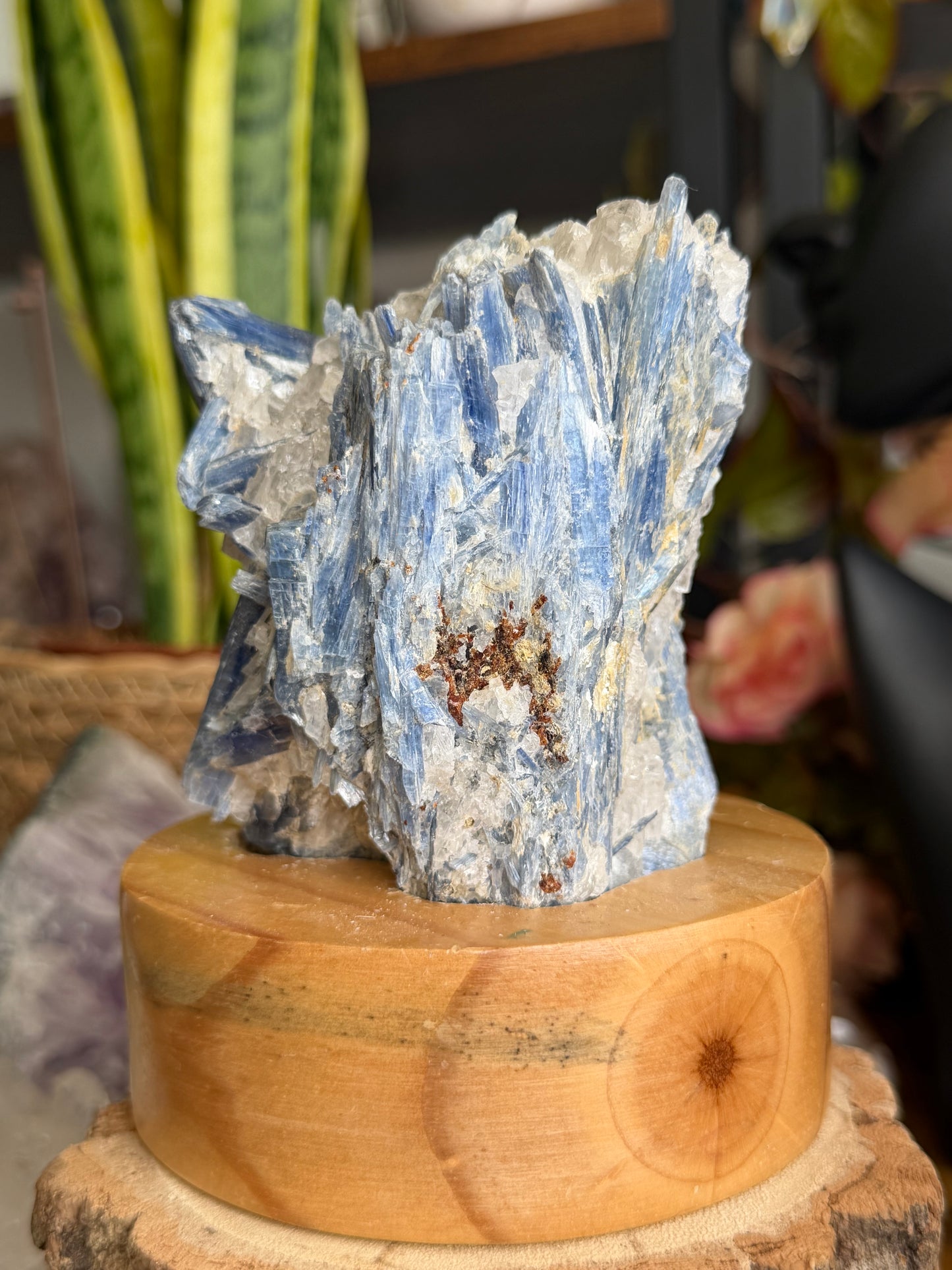 Stunning Blue Kyanite Specimen on Stand from Brazil | 770g