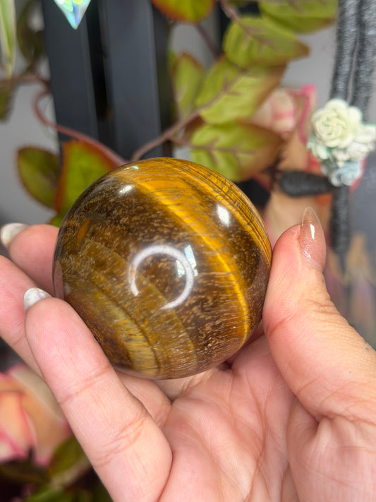 Tiger's eye Sphere | 195g