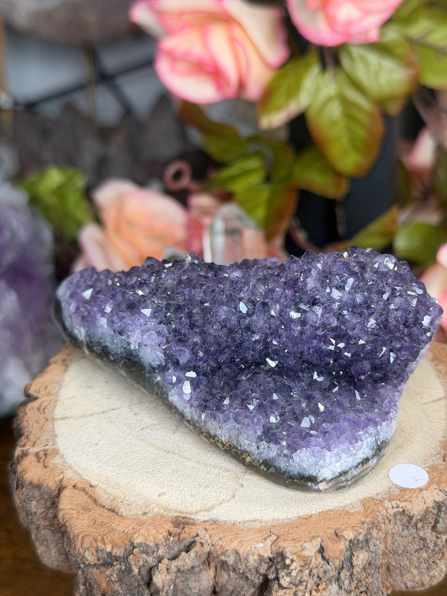 Amethyst Cluster Brasil | 265g