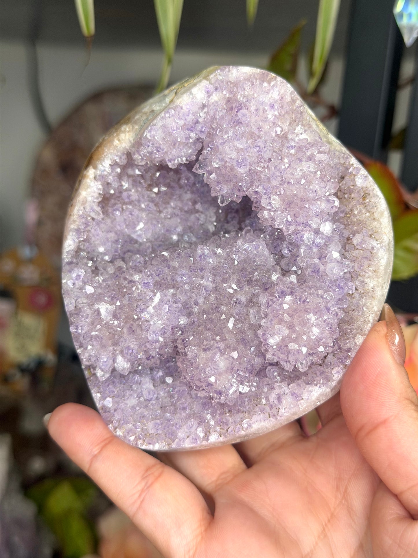 Amethyst Cluster Brasil | 324g
