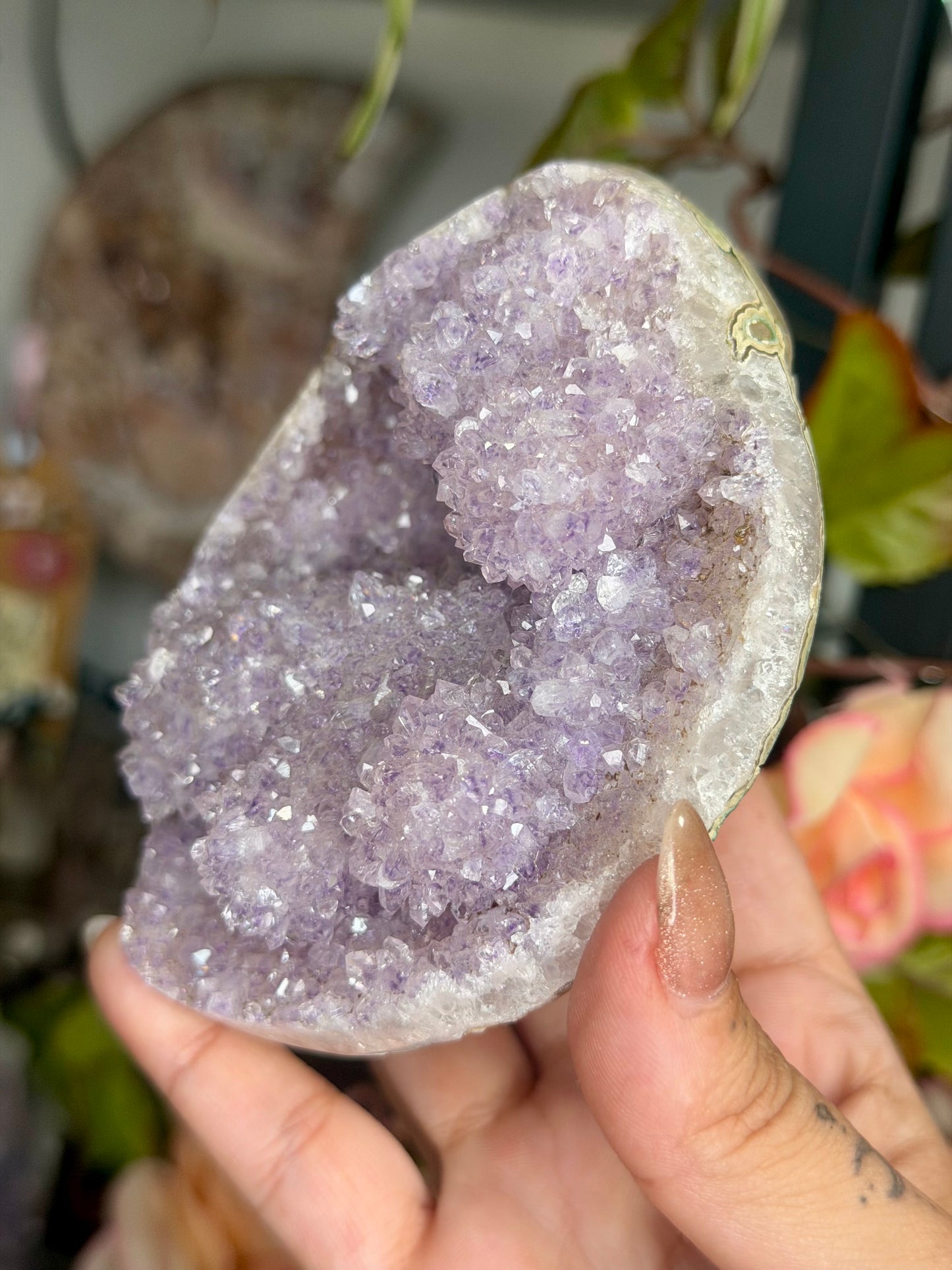 Amethyst Cluster Brasil | 324g