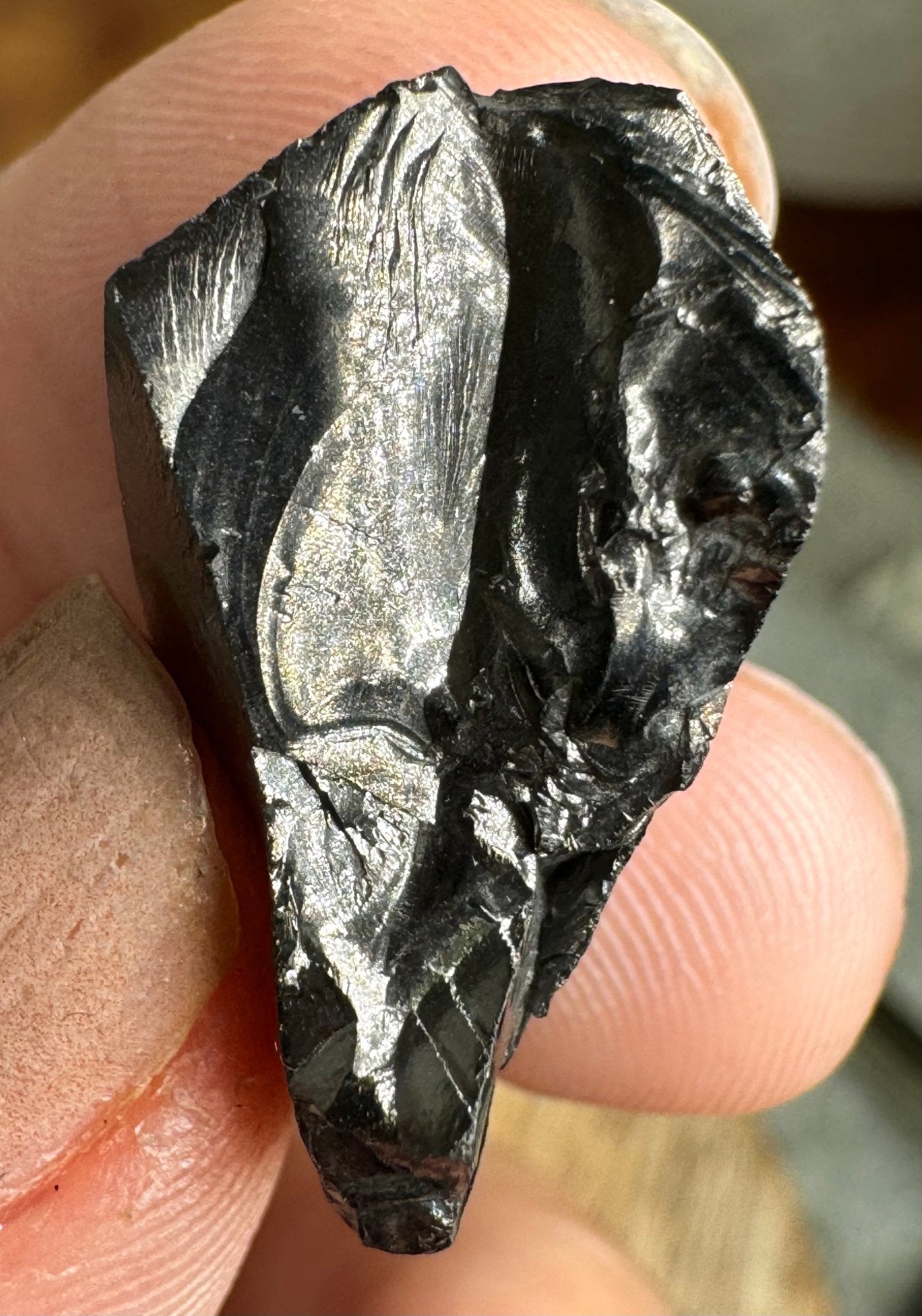 A Quality Tiny Elite Shungite | 1.7 cm - The Crystal Valley