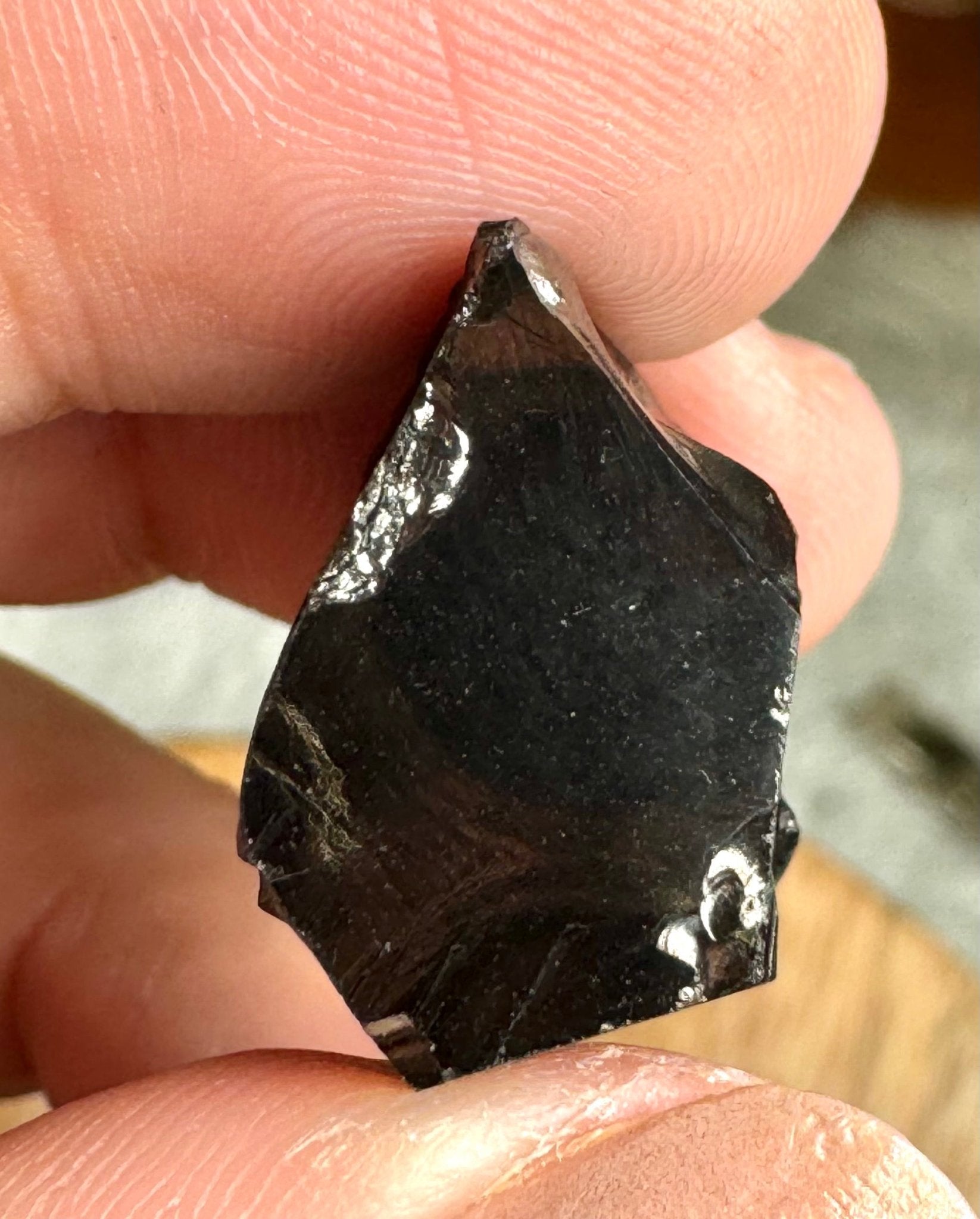 A Quality Tiny Elite Shungite | 1.8 cm - The Crystal Valley