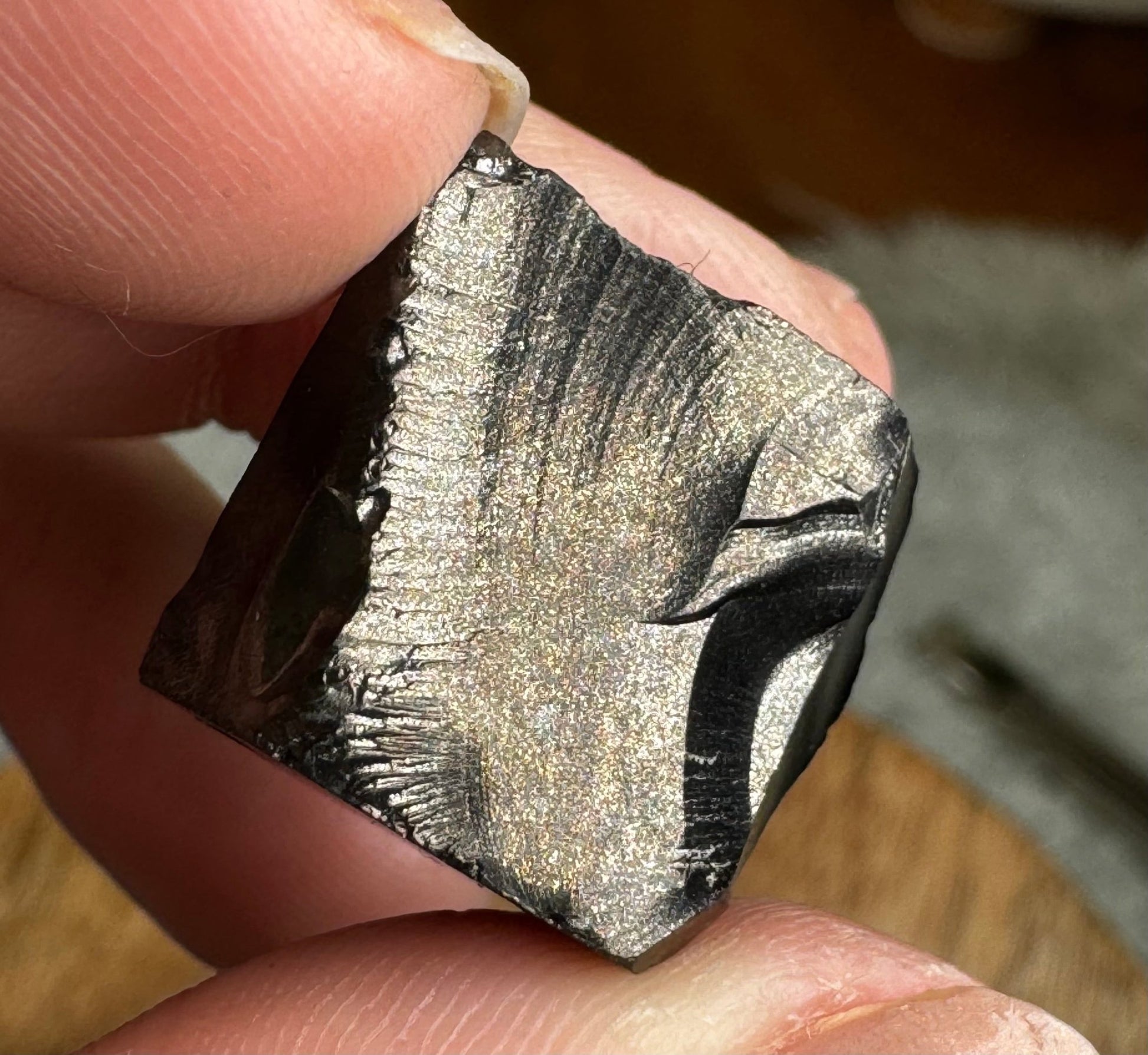 A Quality Tiny Elite Shungite | 1.8 cm - The Crystal Valley