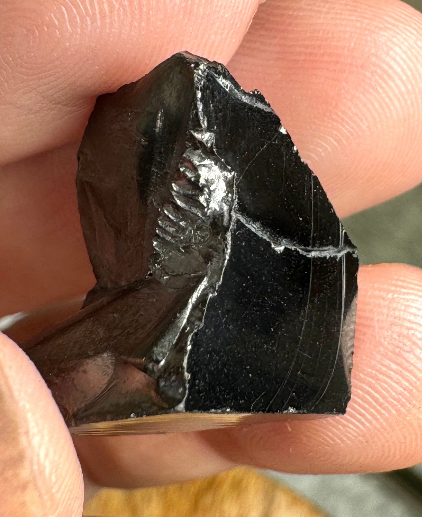 A Quality Tiny Elite Shungite | 1.8 cm - The Crystal Valley