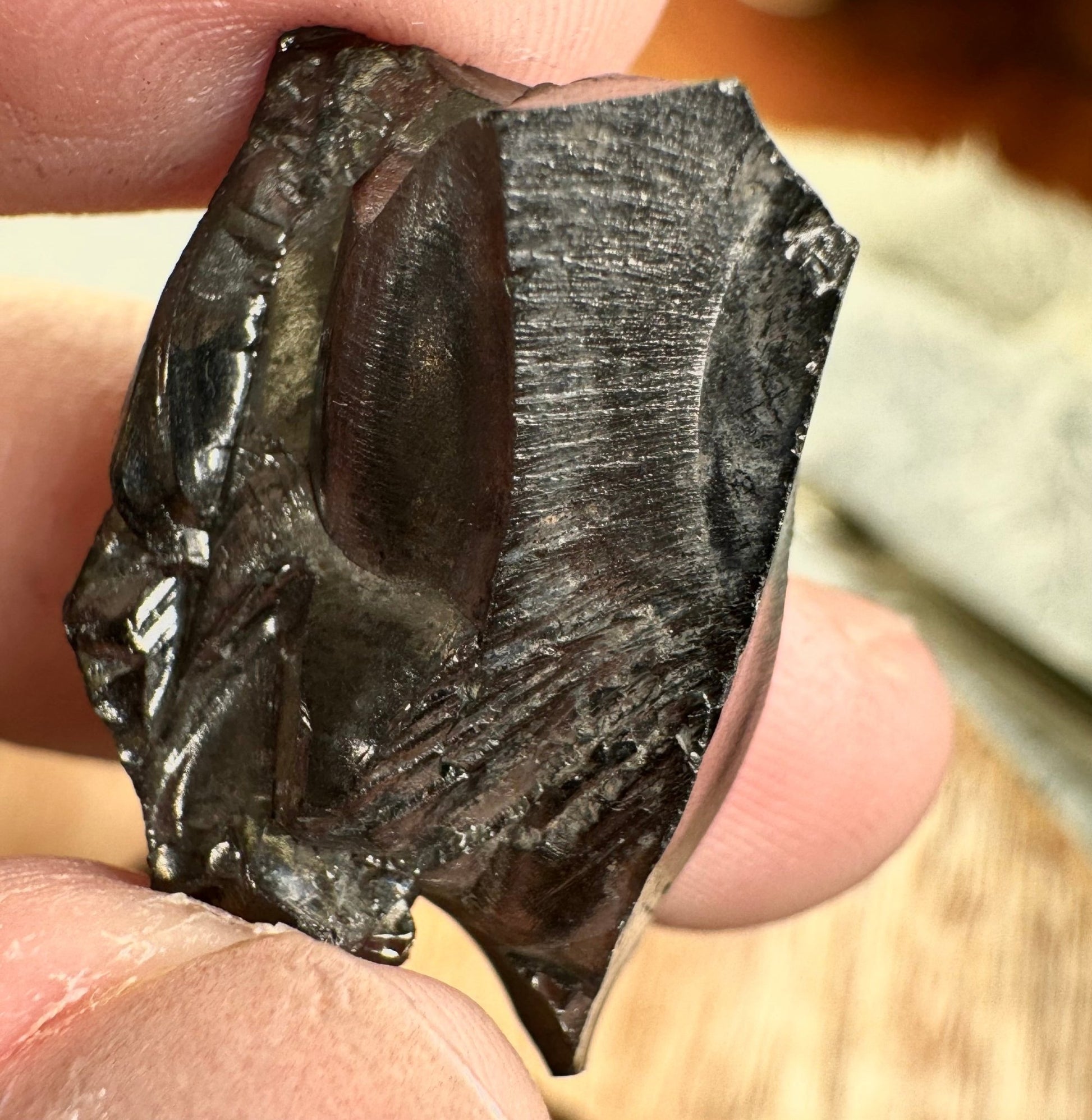 A Quality Tiny Elite Shungite | 2.3cm - The Crystal Valley