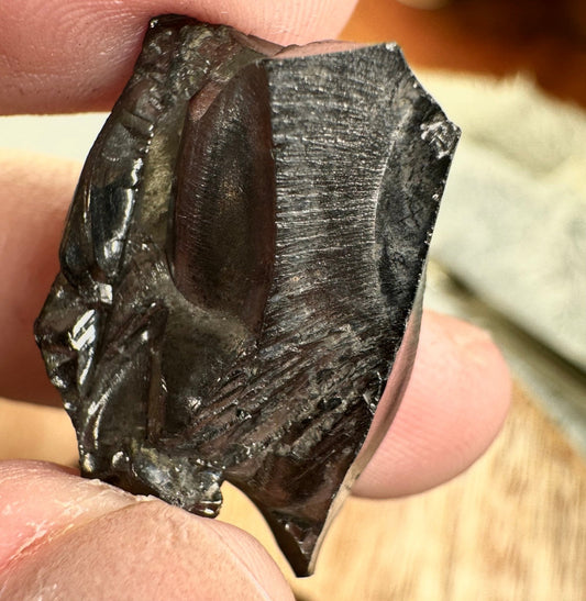 A Quality Tiny Elite Shungite | 2.3cm - The Crystal Valley