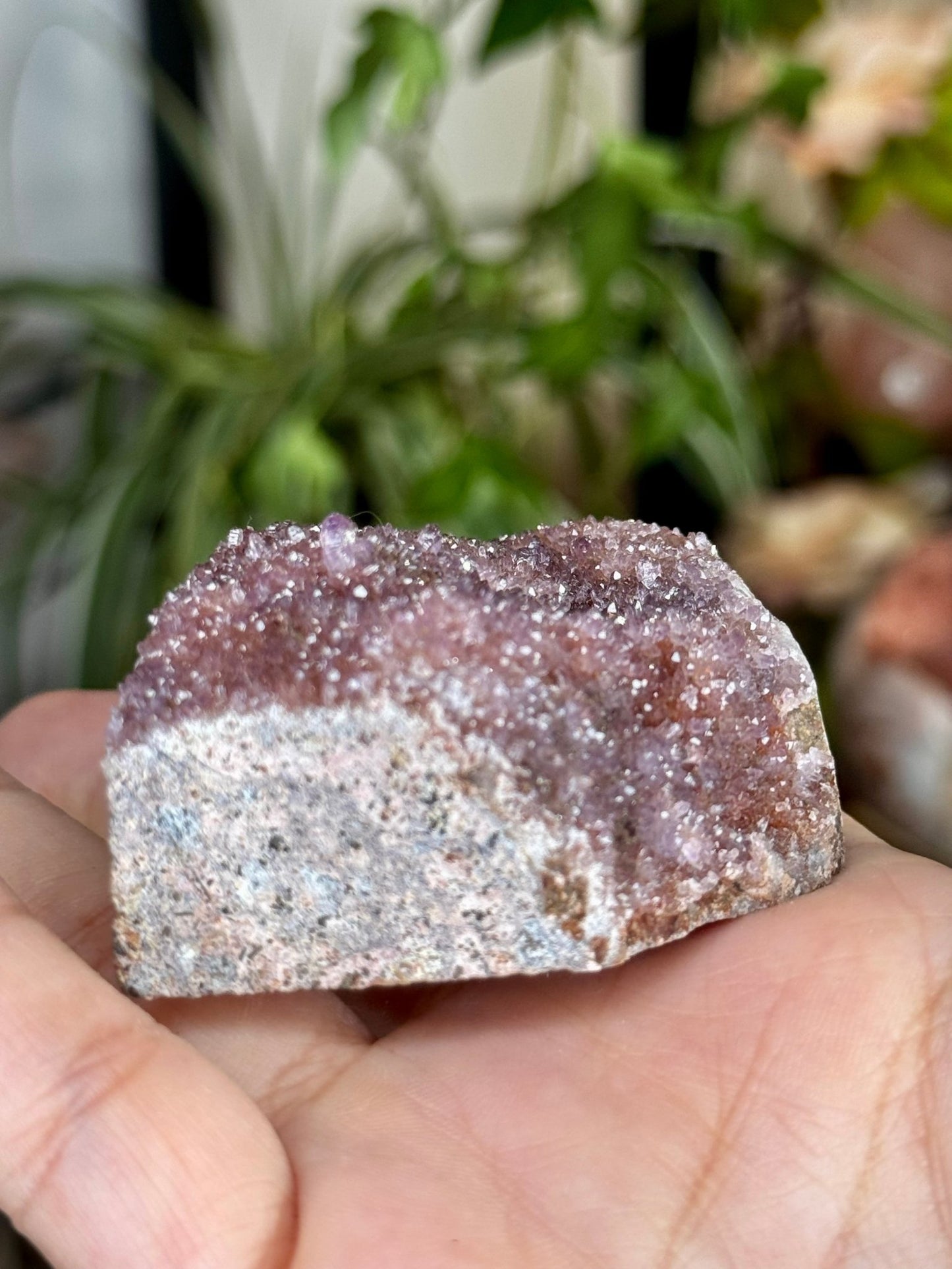 Alacam Amethyst Cluster | 100g - The Crystal Valley
