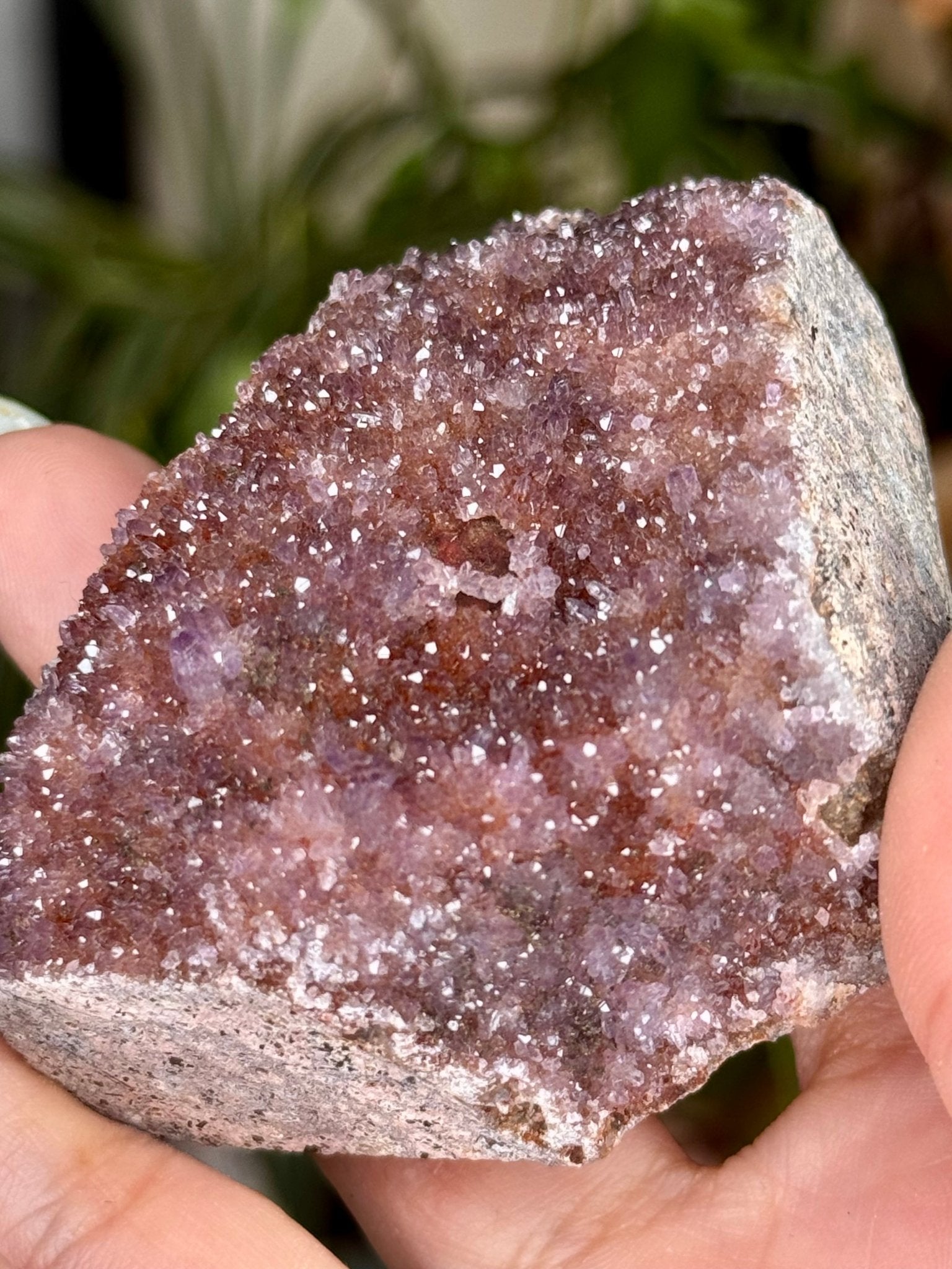 Alacam Amethyst Cluster | 100g - The Crystal Valley