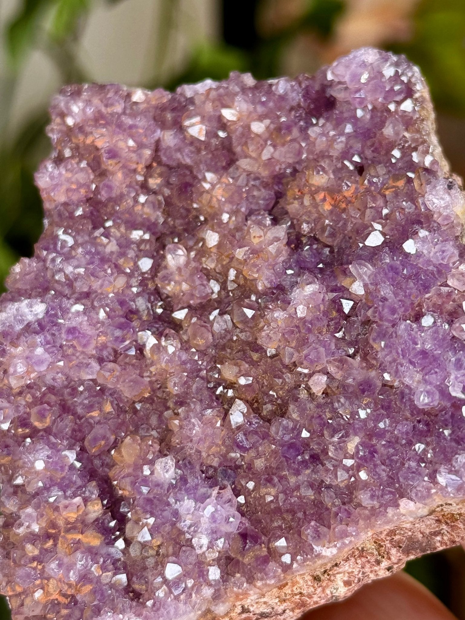 Alacam Amethyst Cluster | 152g - The Crystal Valley