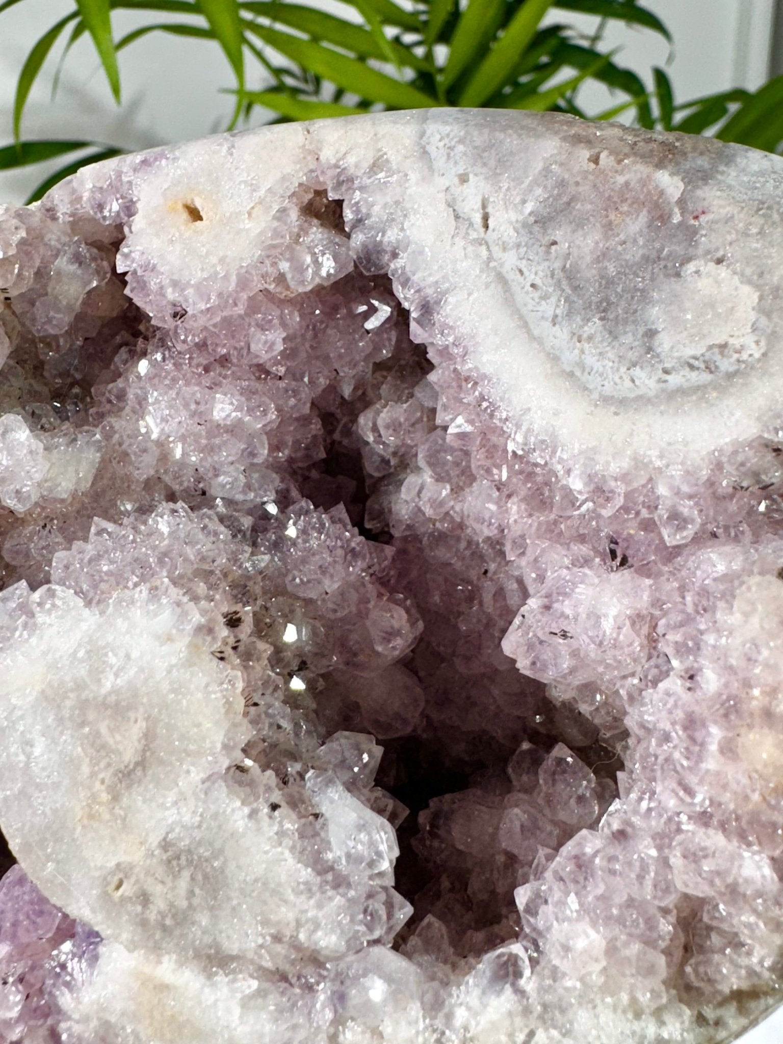 Amethyst with Flower Agate Free Form | 821g - The Crystal Valley