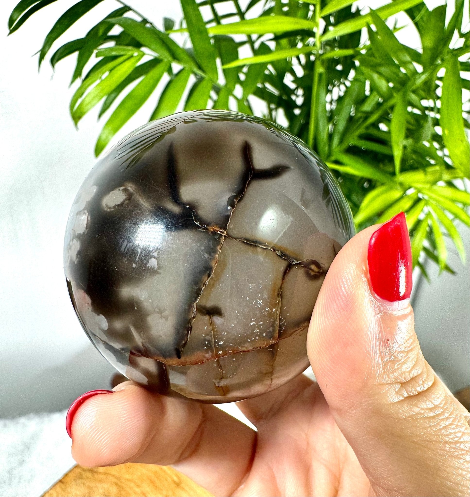 Black Agate Sphere | 230g - The Crystal Valley