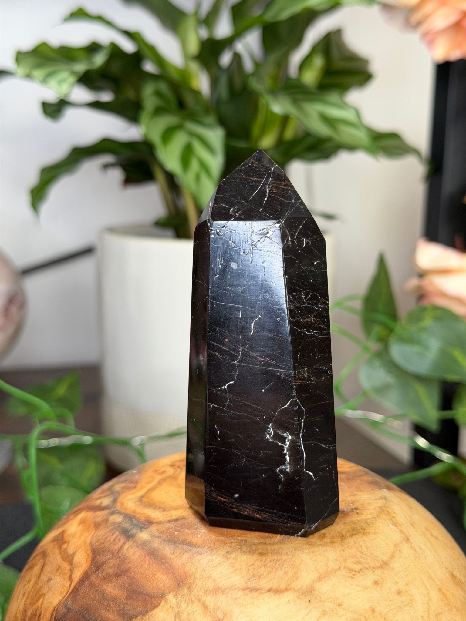 Black Tourmaline Tower with Hematite | 111g - The Crystal Valley