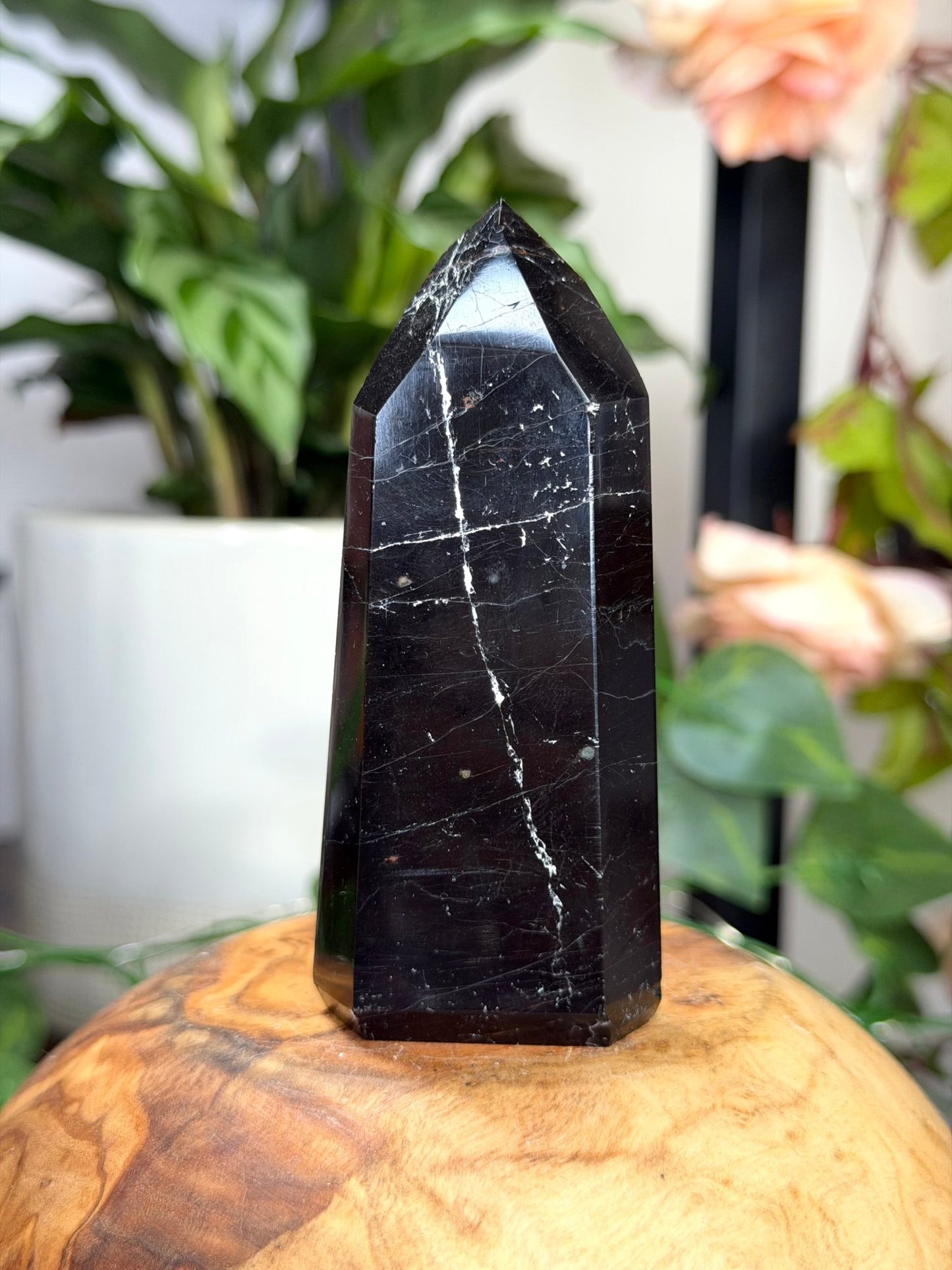Black Tourmaline Tower with Hematite | 111g - The Crystal Valley