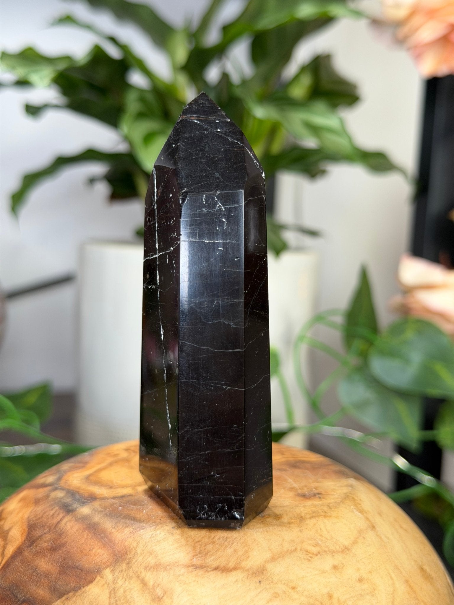 Black Tourmaline Tower with Hematite | 111g - The Crystal Valley