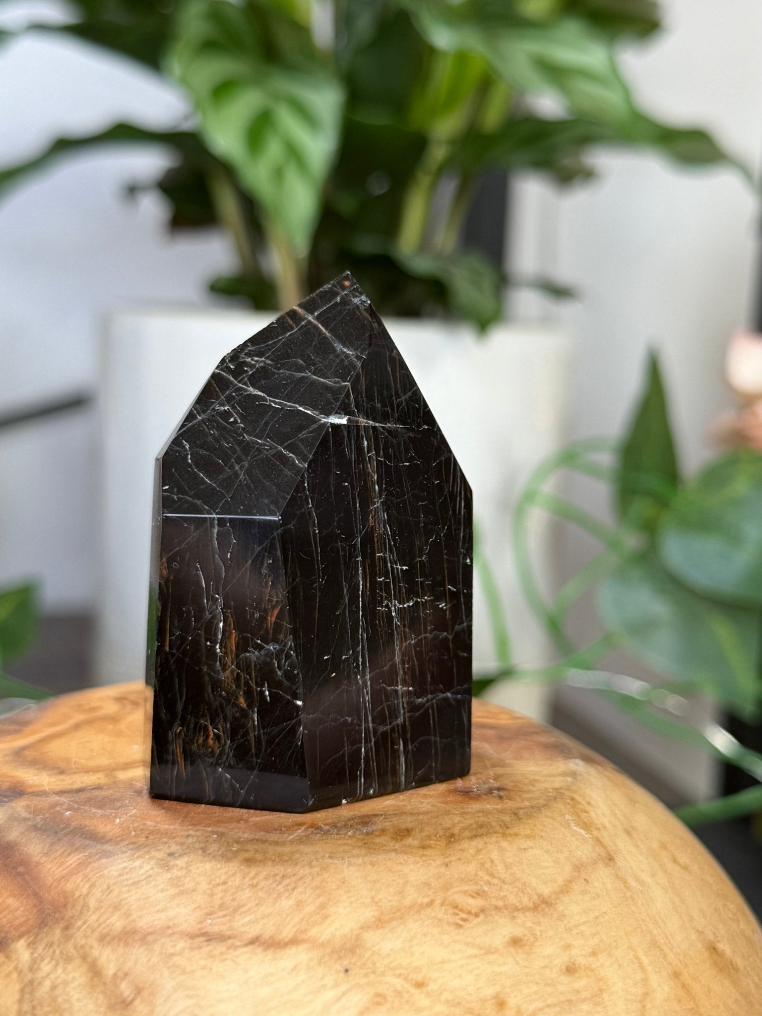 Black Tourmaline Tower with Hematite | 79g - The Crystal Valley