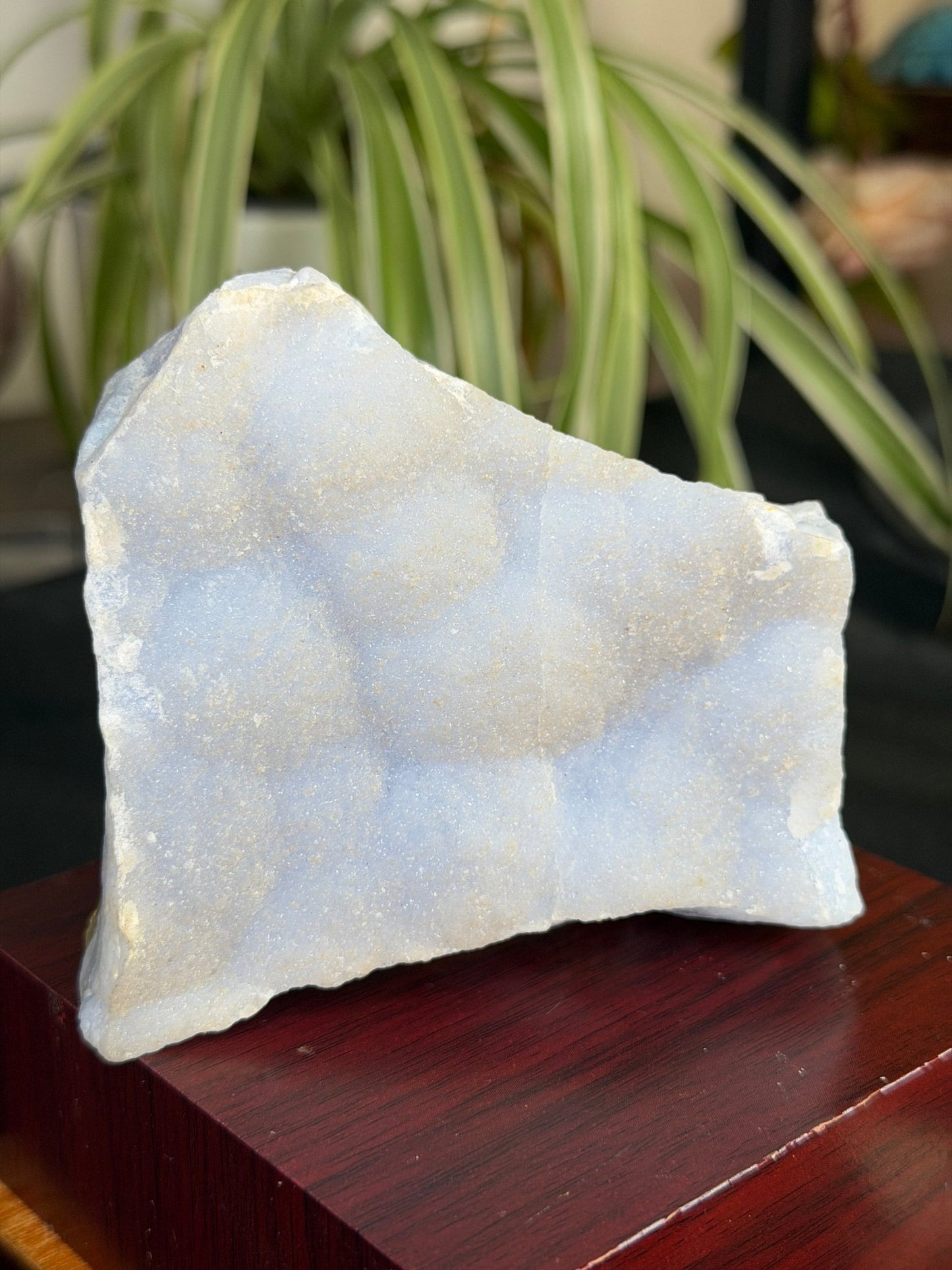 Blue Lace Specimen with Mica | 361g - The Crystal Valley