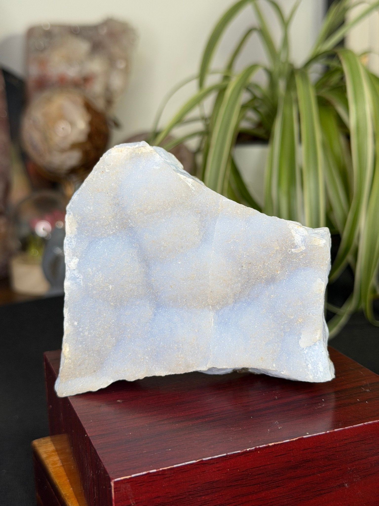 Blue Lace Specimen with Mica | 361g - The Crystal Valley