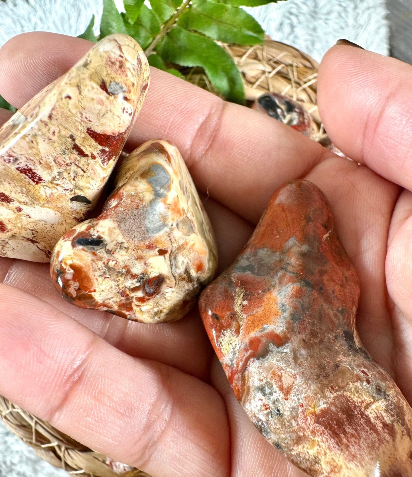 Brec Jasper Light Tumbles | Medium & Large sizes - Intuitively Chosen - The Crystal Valley