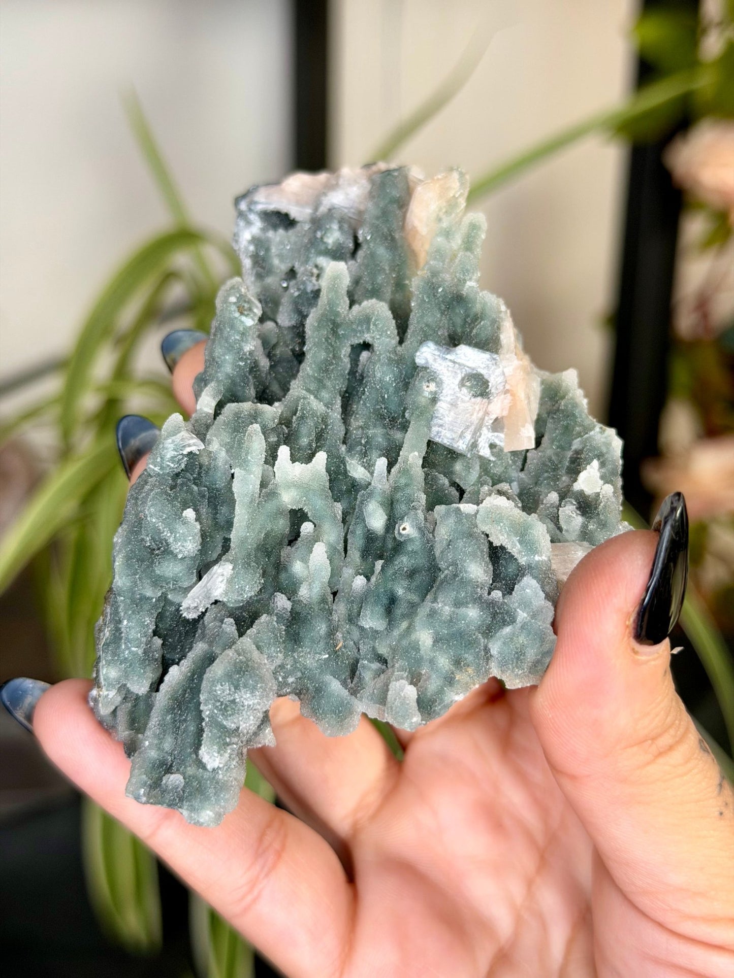 Chalcedony Apophyllite | 126g - The Crystal Valley