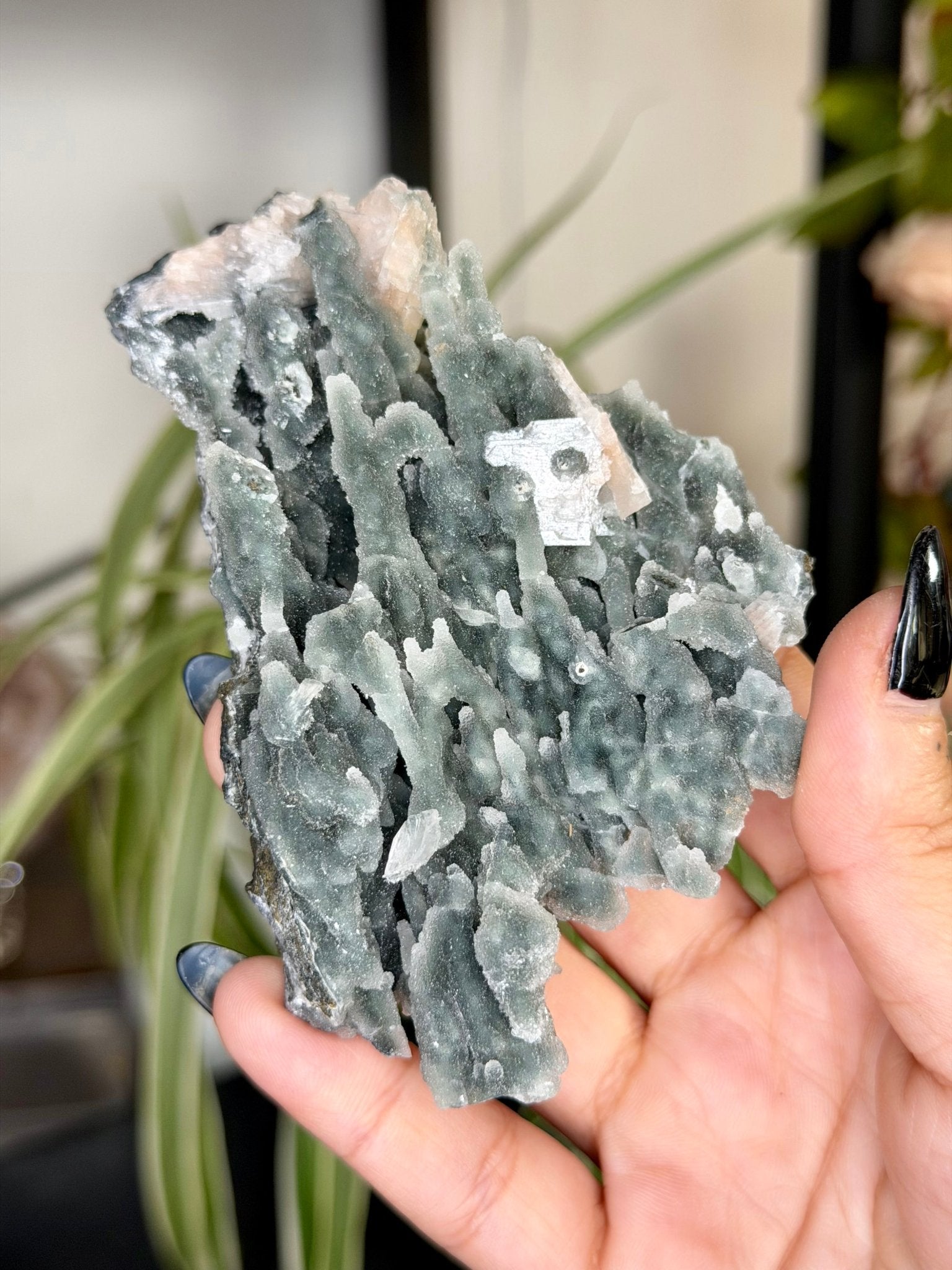 Chalcedony Apophyllite | 126g - The Crystal Valley